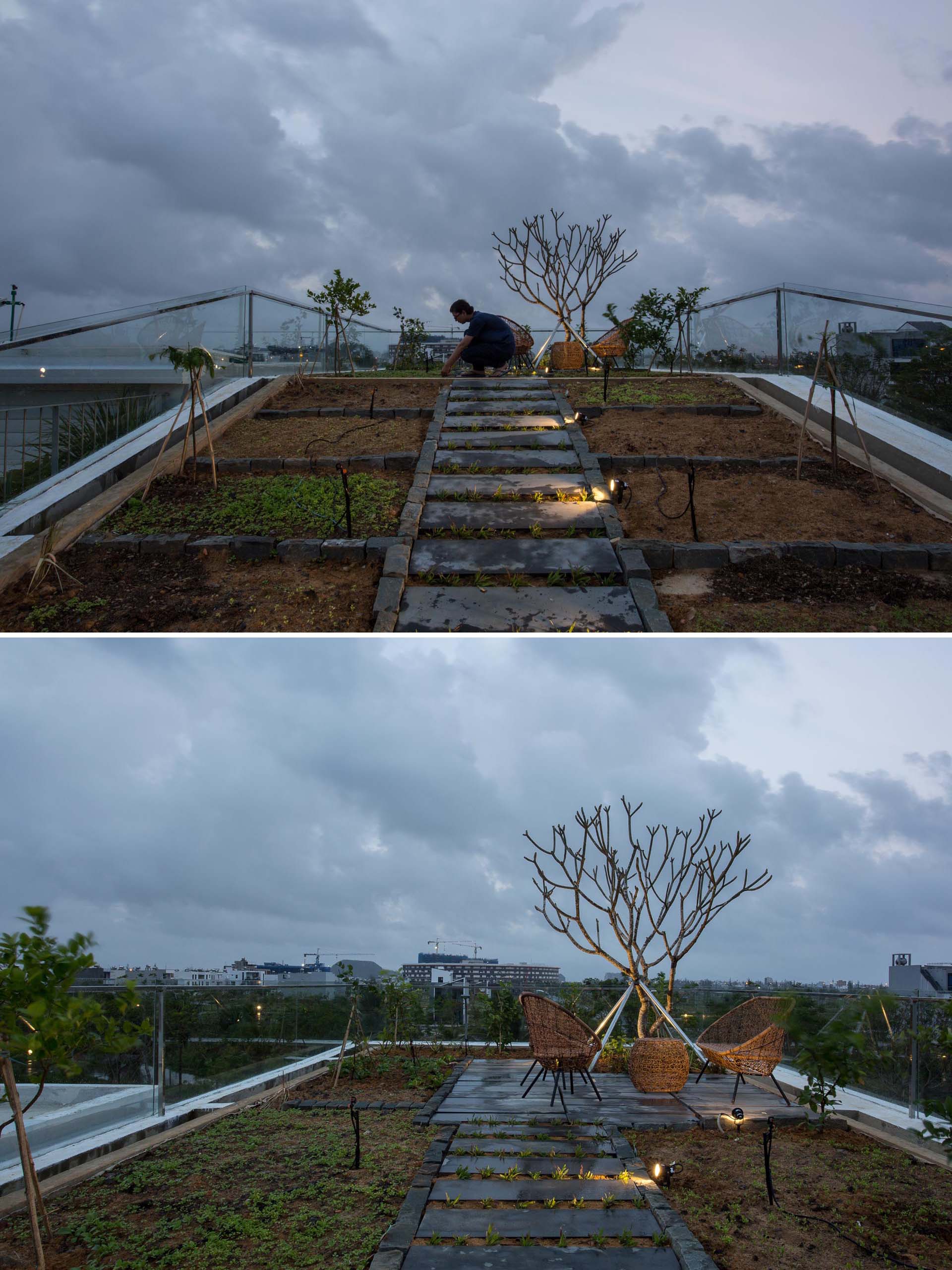 A vegetable and herb garden on the roof of a modern house uses a circulated watering system which automatically controls temperature and humidity, as well as preserves and redistributes rain water.