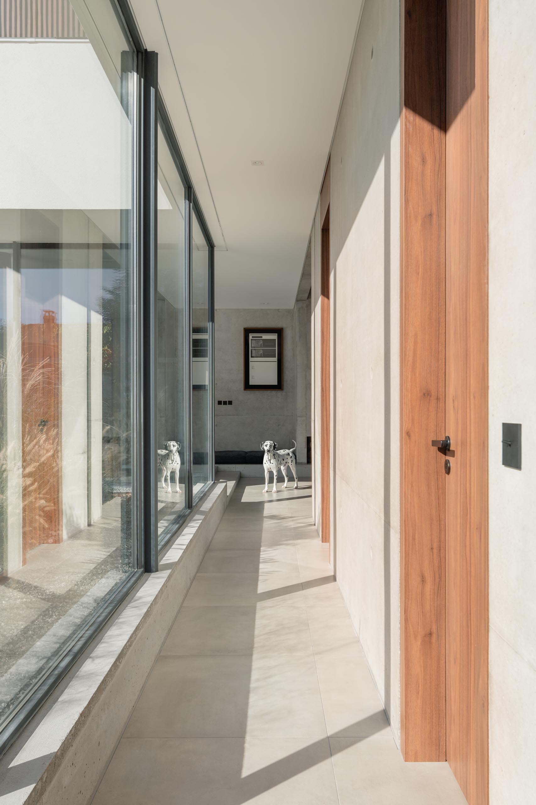 Floor-to-ceiling windows line this modern hallway and add plenty of natural light.