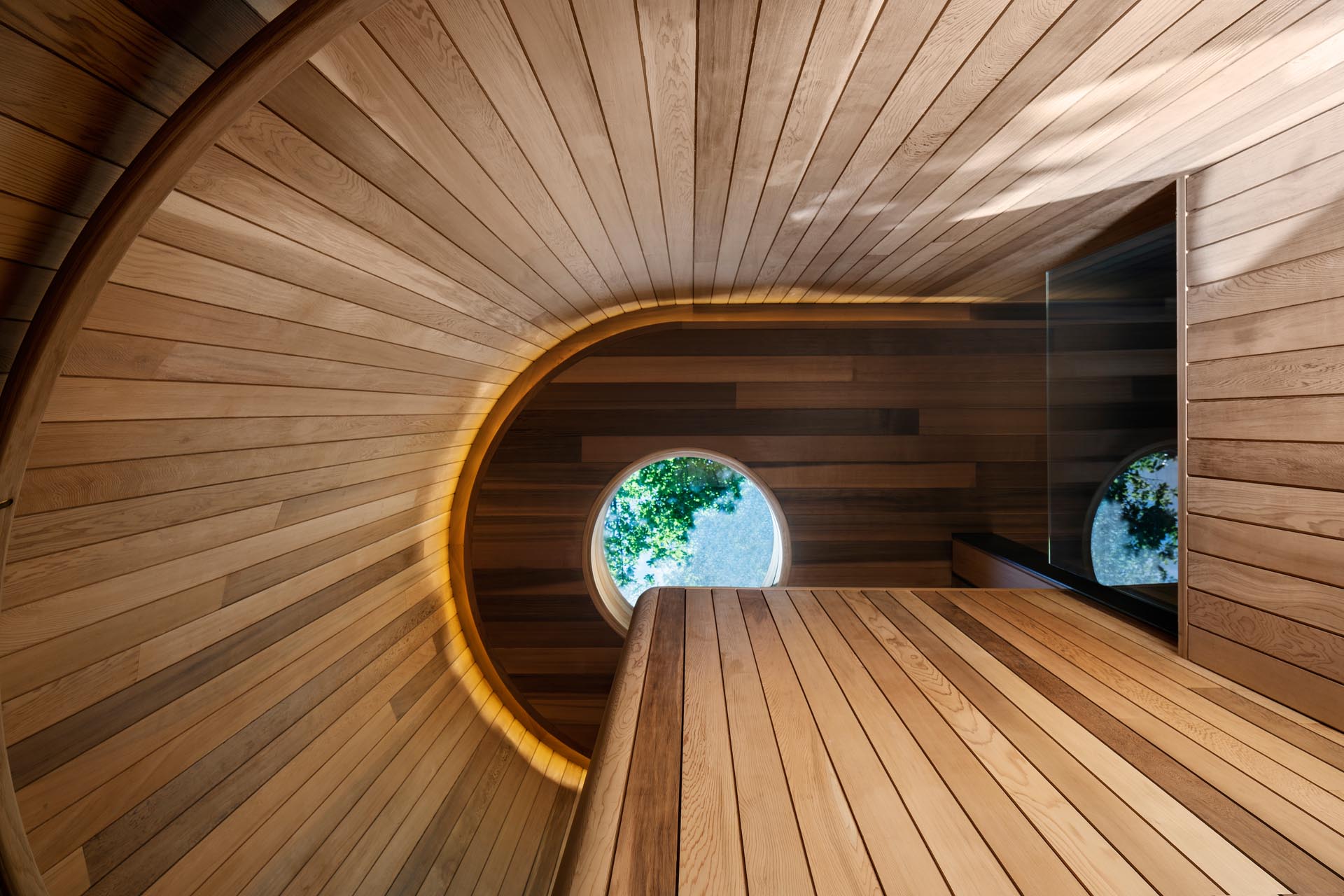 Modern wood lined stairs with a skylight and hidden lighting.