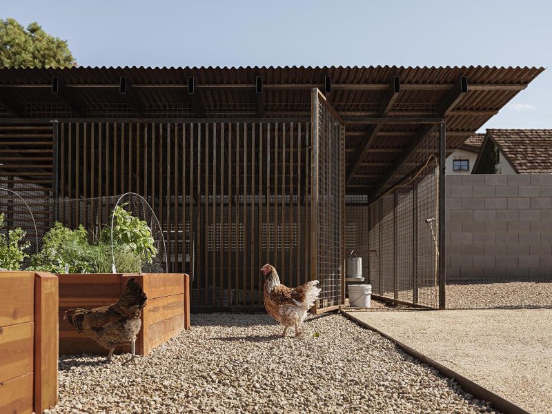 A modern desert home with a custom designed chicken coop.