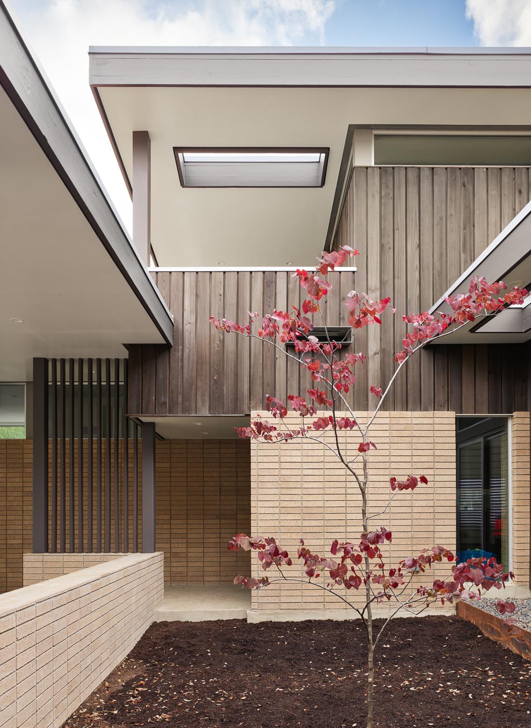 Between the carport and this mid-century modern inspired home is a small courtyard with a single tree that has been given room to grow overtime.