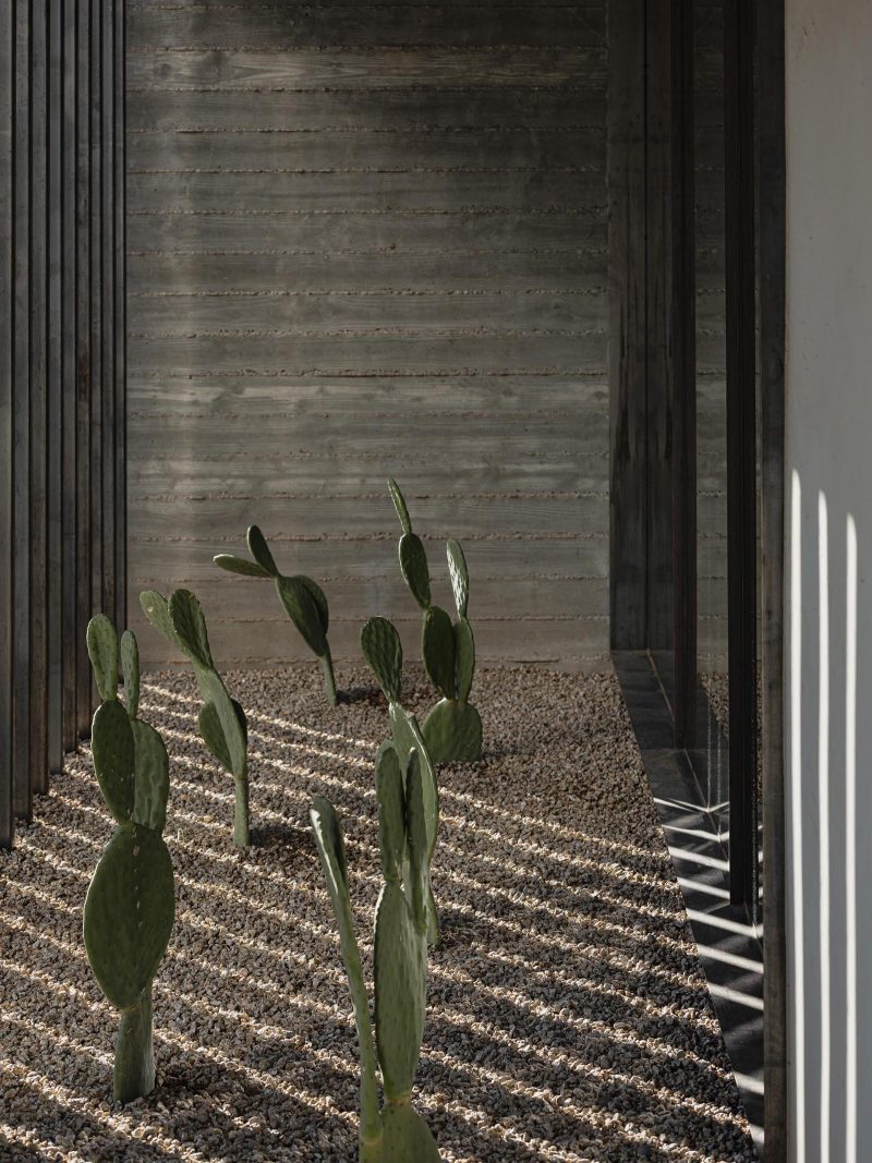 A modern home with board formed concrete walls and desert landscaping.