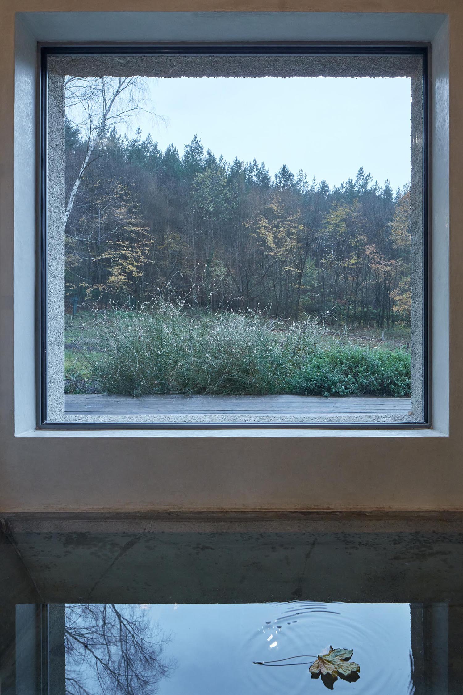 A sunken bathtub lies below a picture window with views of the trees.
