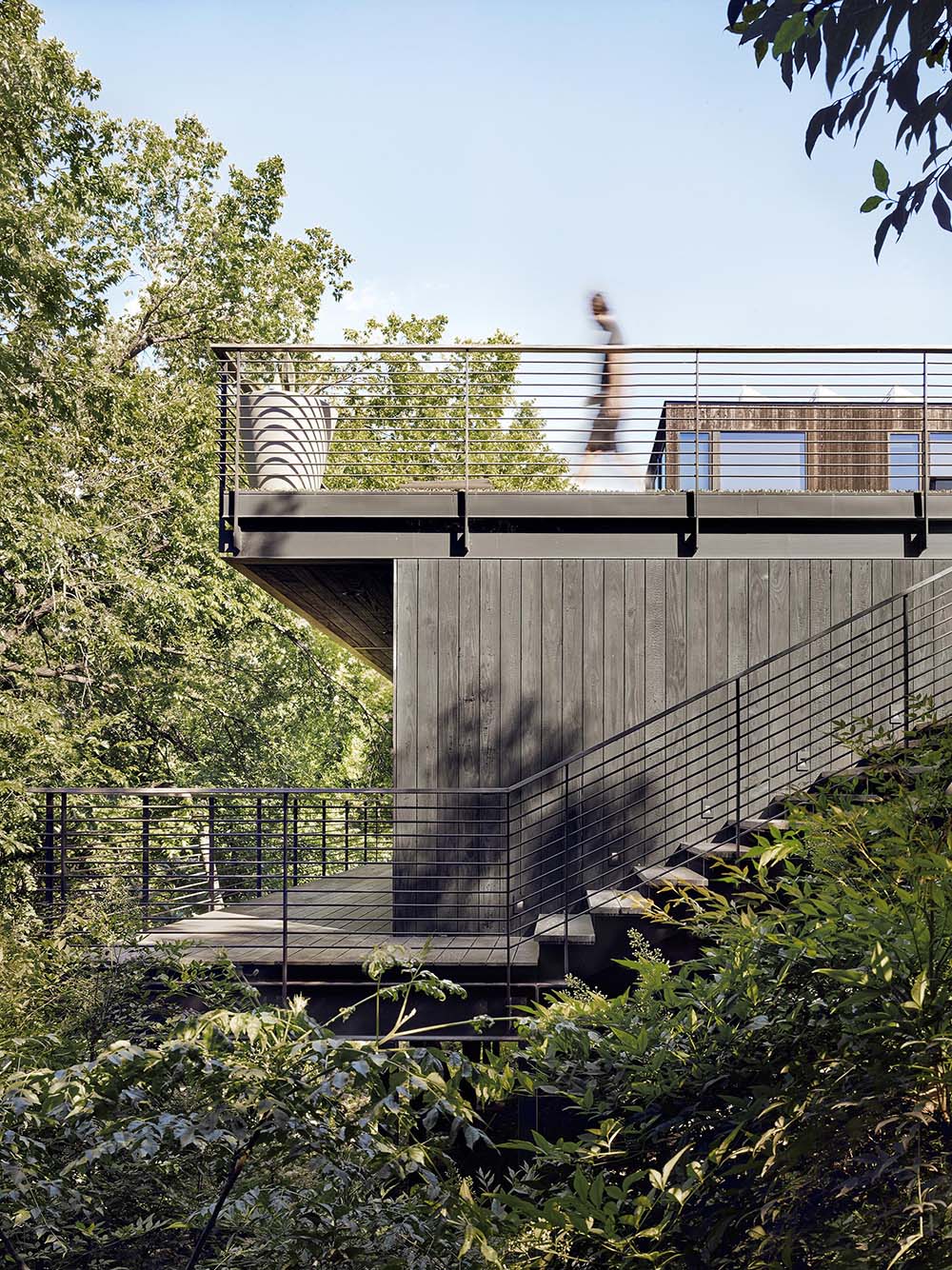 A modern home addition with a rooftop garden.