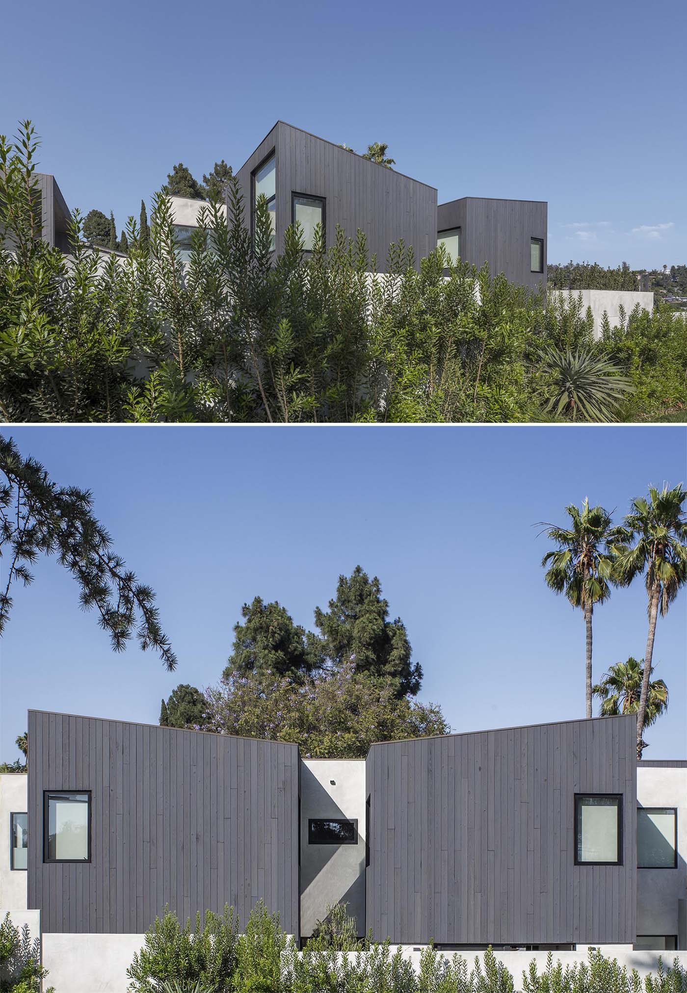 Situated on a highly exposed corner lot, the exterior of this modern home features Shou Sugi Ban charred cypress wood and a smooth exterior plaster.