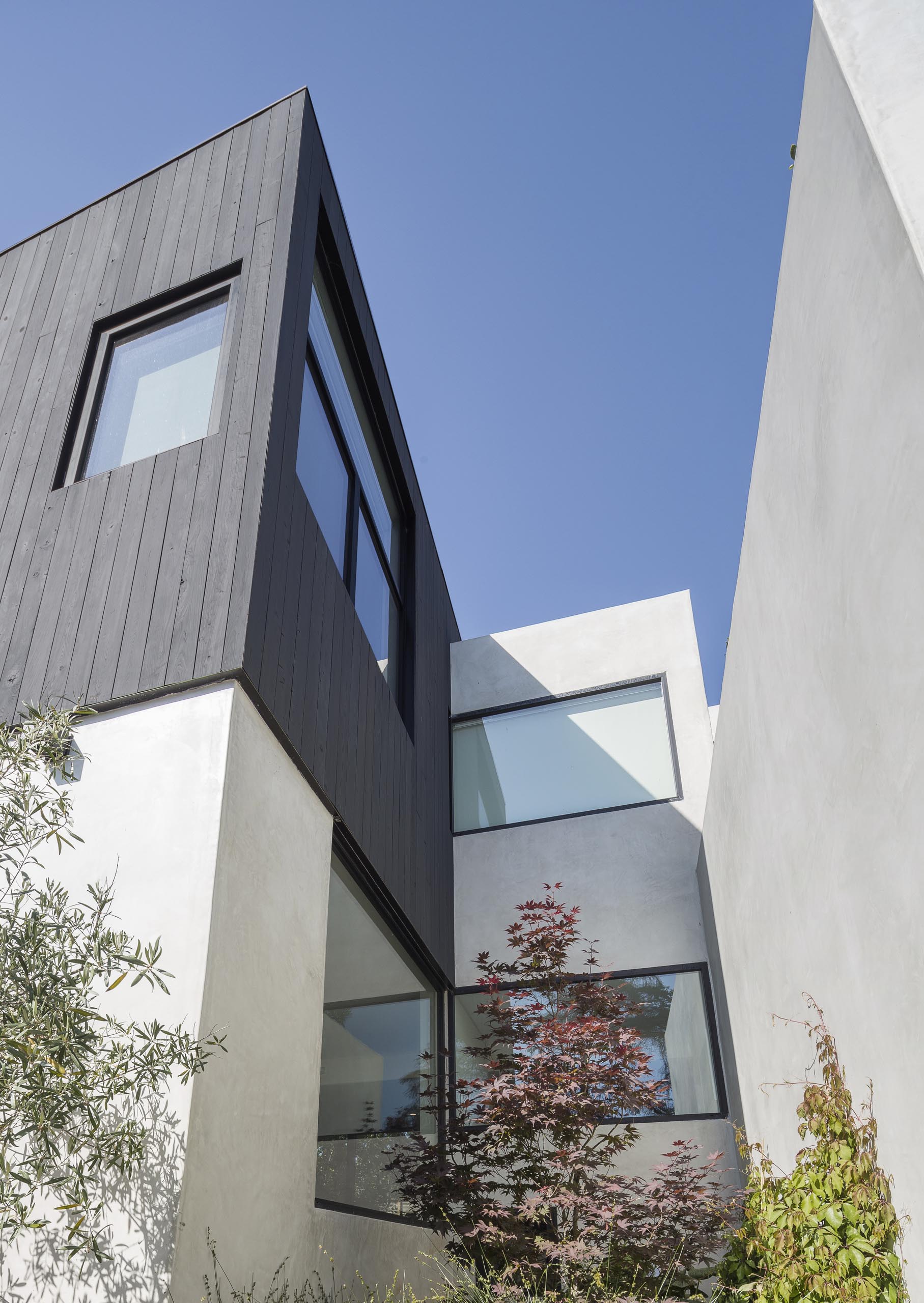 A modern home with Shou Sugi Ban charred cypress wood and a smooth exterior plaster.