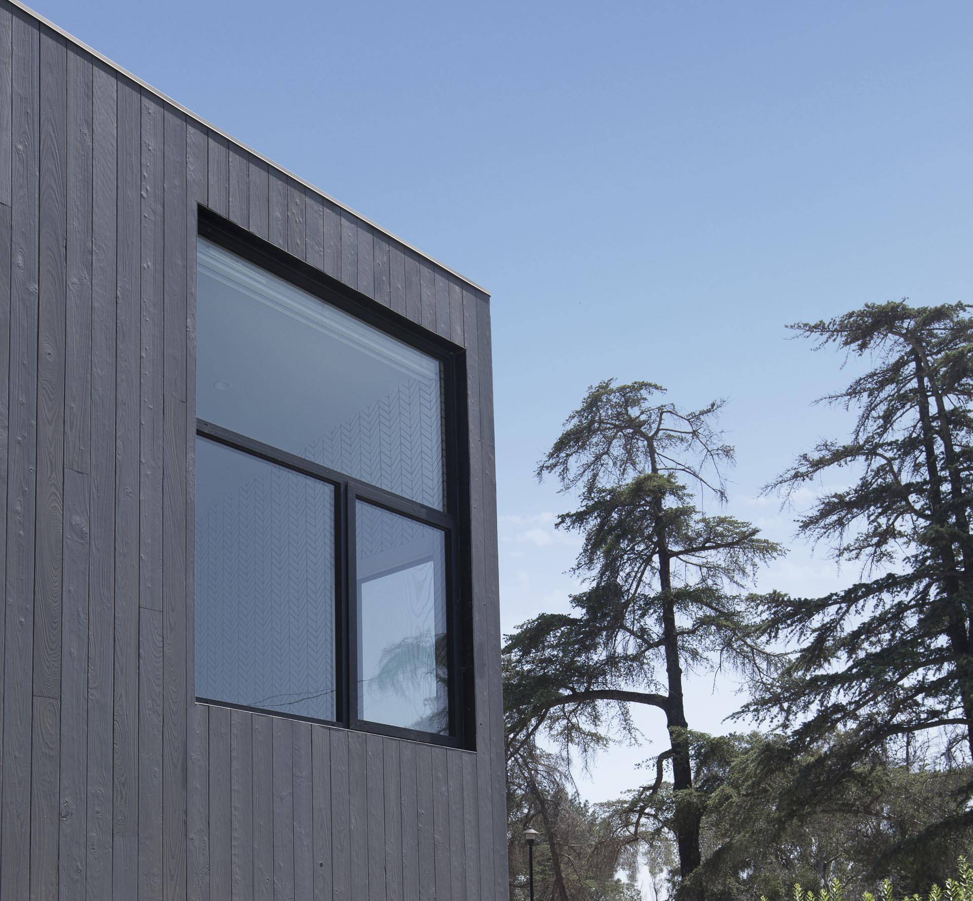 A modern home with Shou Sugi Ban exterior siding and black window frames.