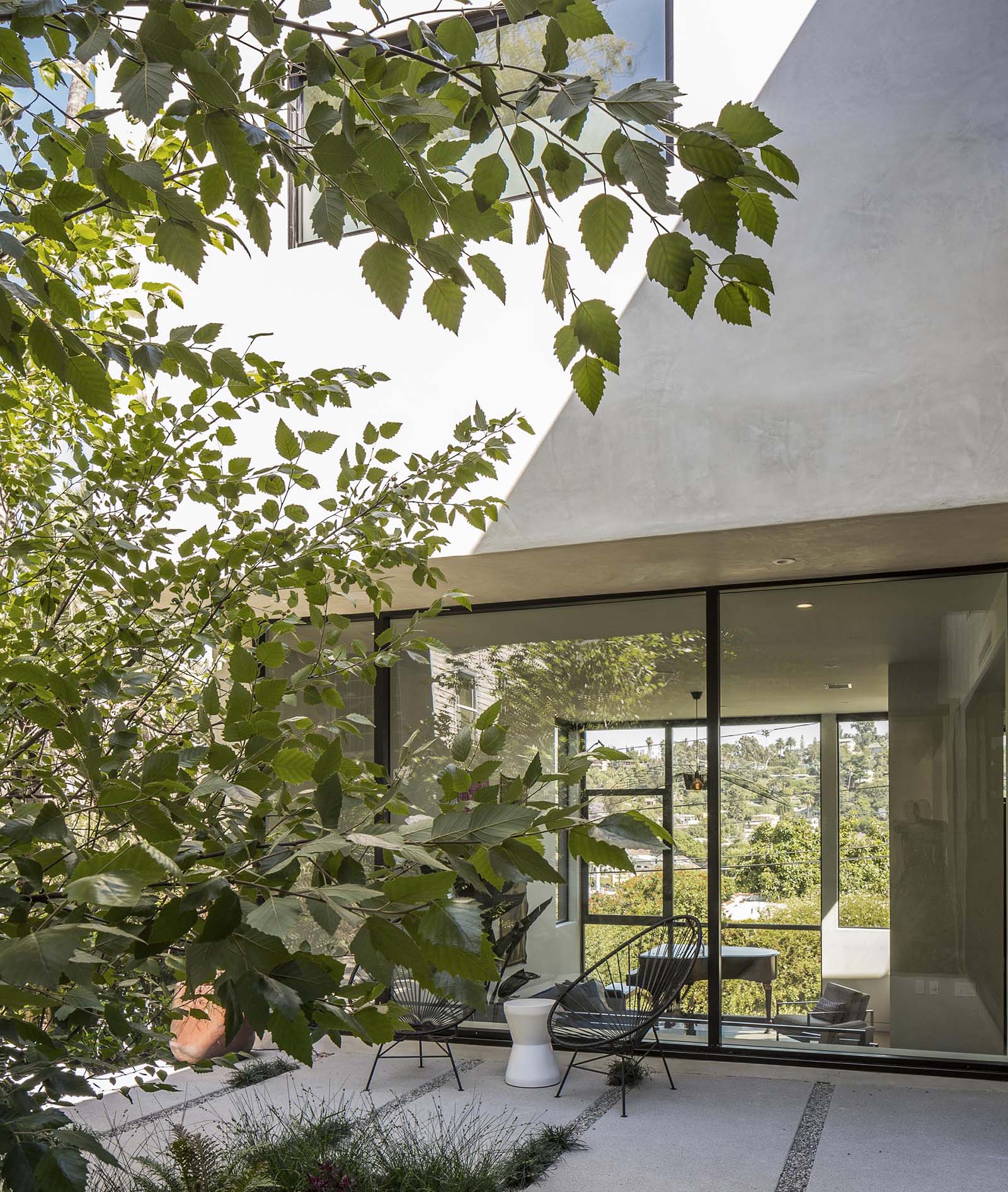 A modern courtyard with concrete pavers, pebbles, grasses, and a large tree.