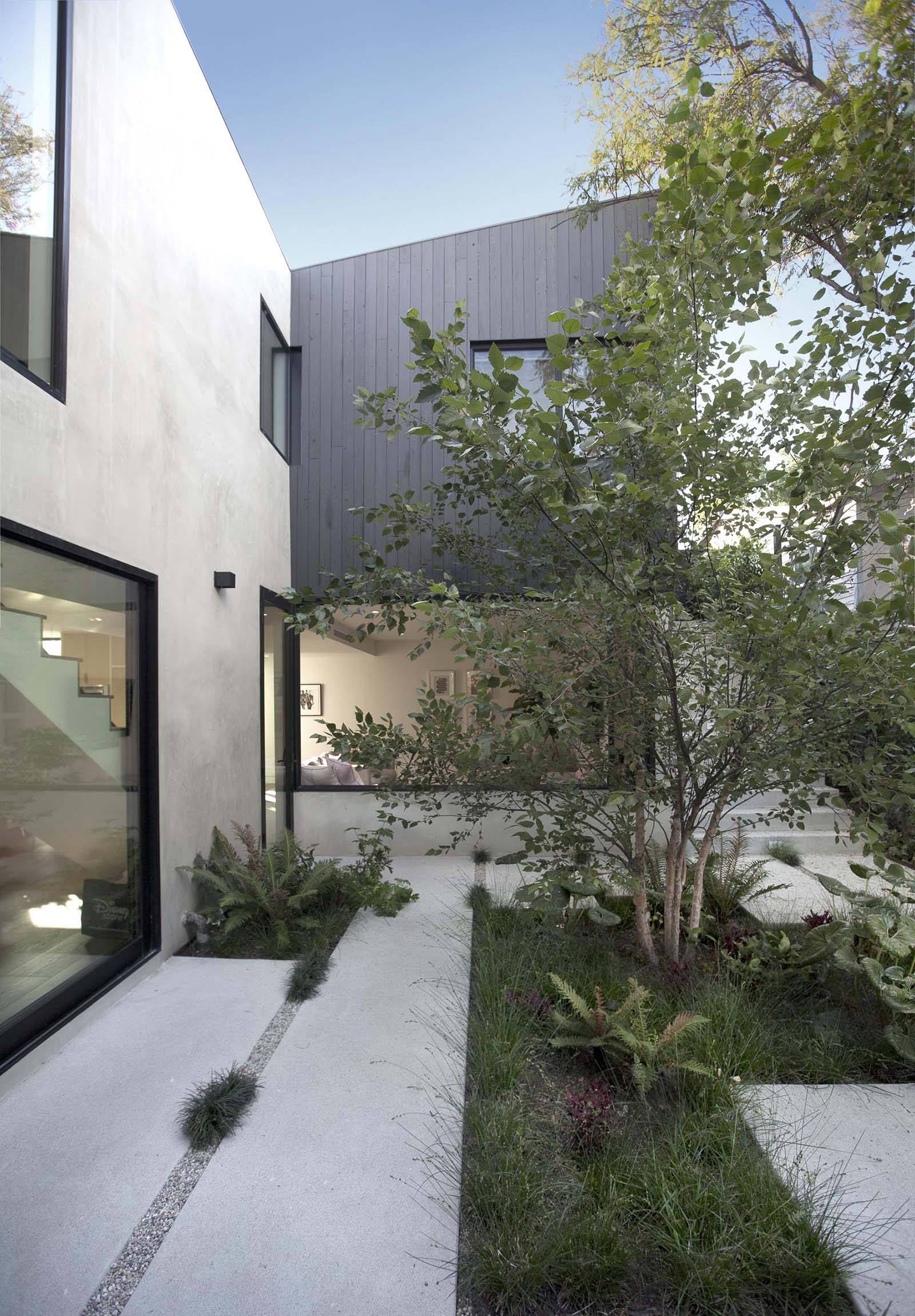 A modern courtyard with concrete pavers, pebbles, grasses, and a large tree.