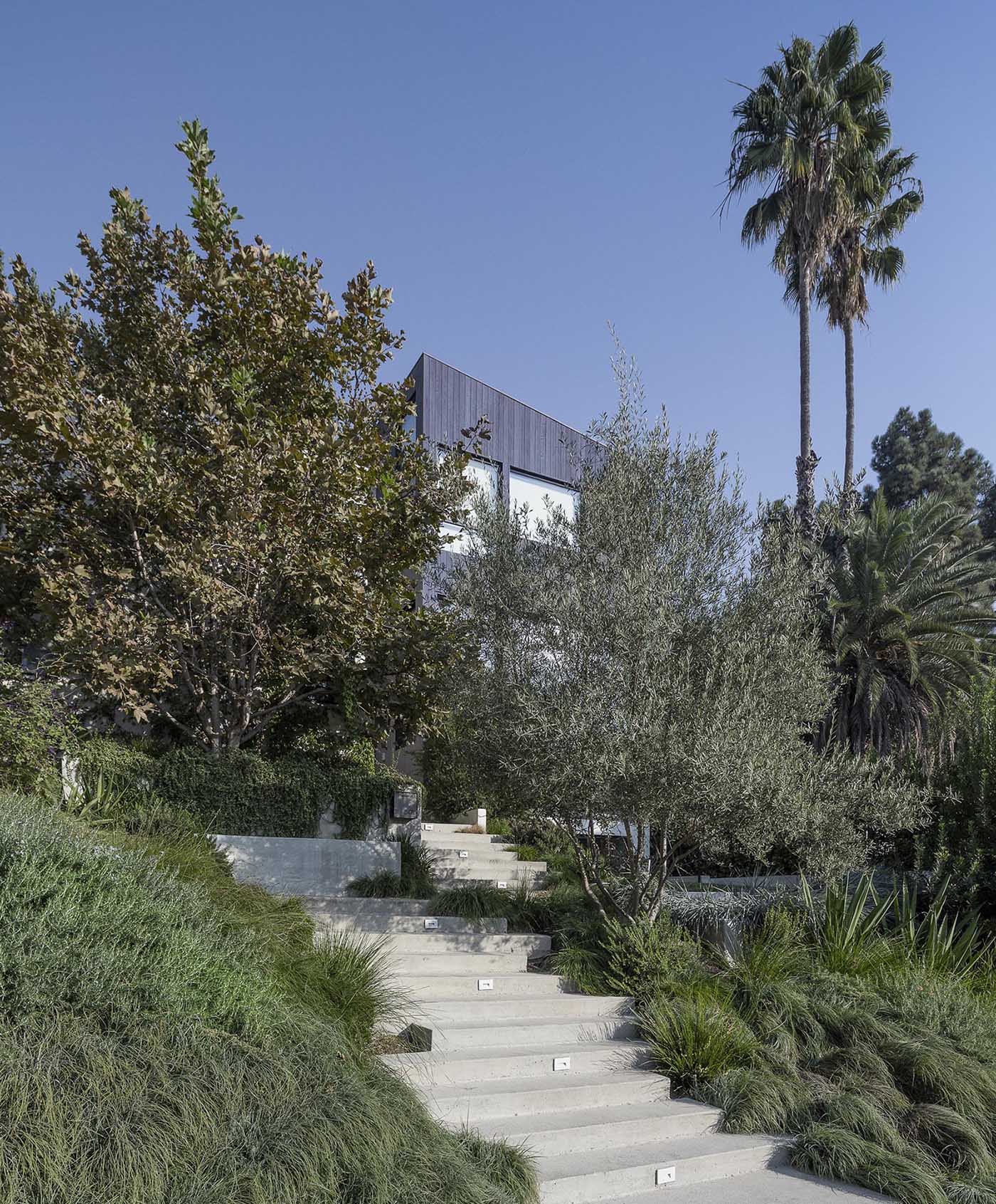Mature landscaping is separated by concrete stairs that lead up to the house, and at night, lighting creates a guided path.