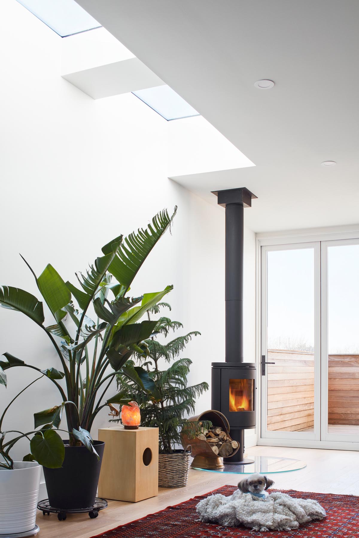 A modern living room with plants, skylights, and a black fireplace.