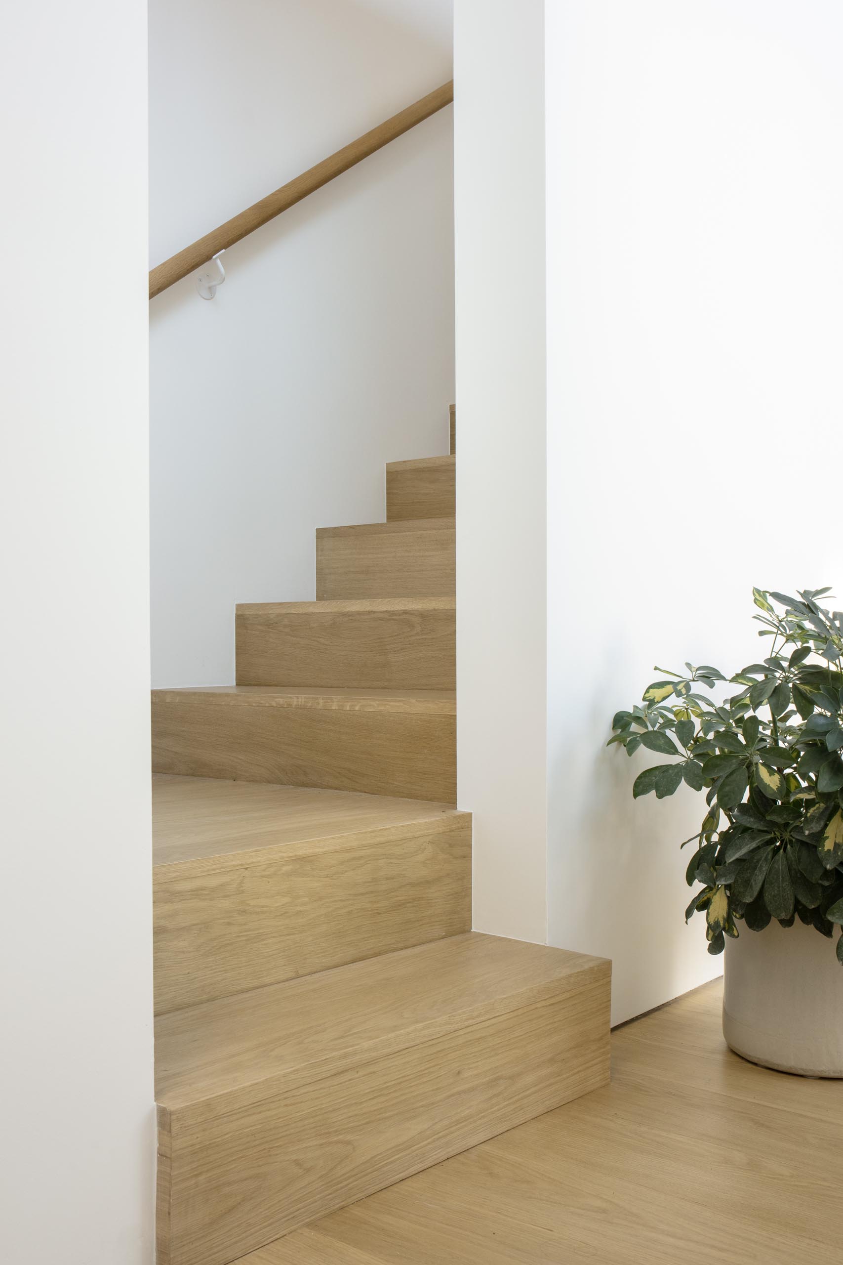 Wood stairs with a matching handrail lead up to the social areas of this modern home.