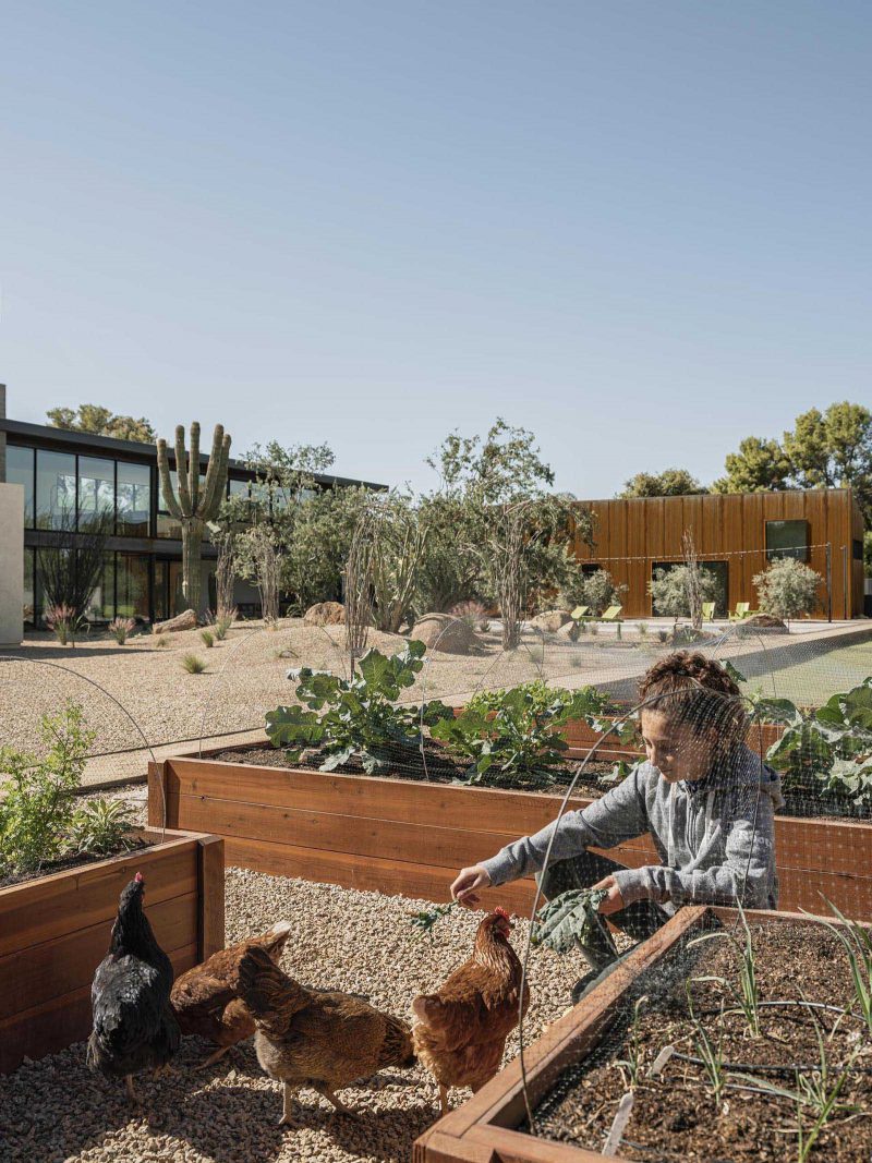 A modern desert home with raised vegetable planters.