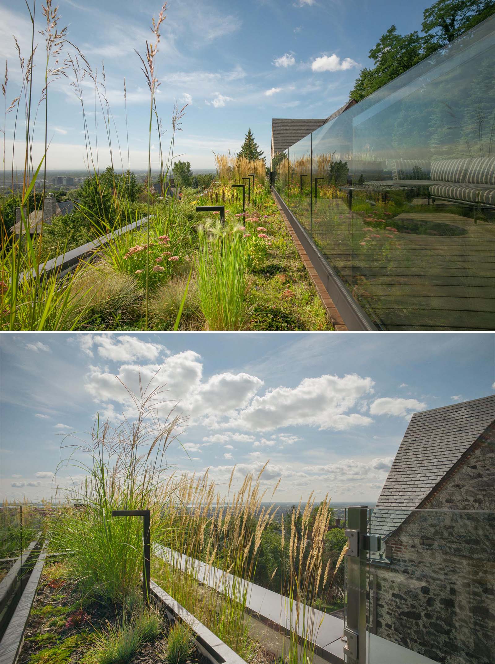 A modern rooftop terrace with outdoor lighting and wildflowers.