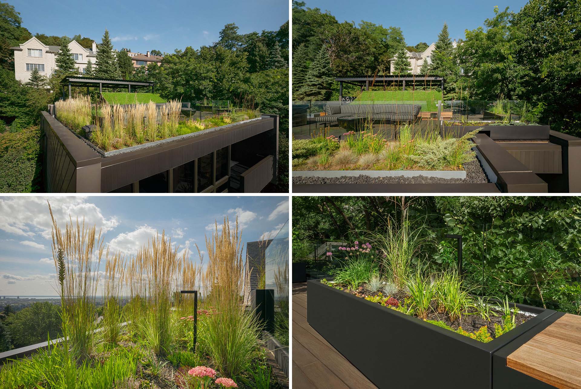 A modern rooftop terrace with an Ipe wood deck, exterior lighting, a sofa, and wildflowers.