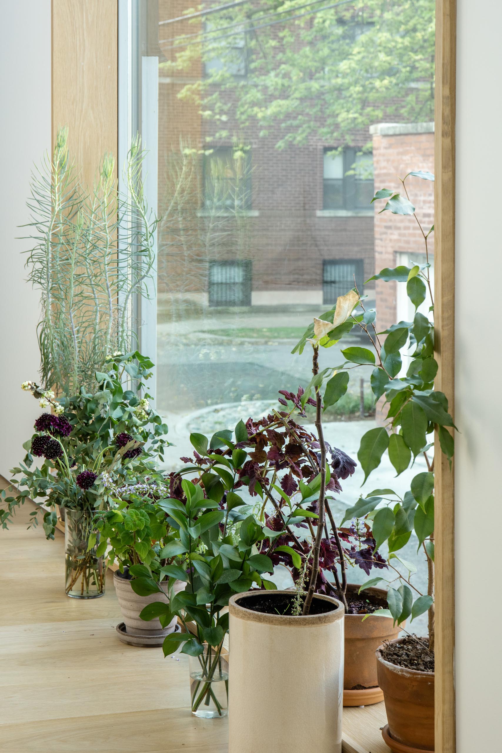 A wood framed window lined with plants.