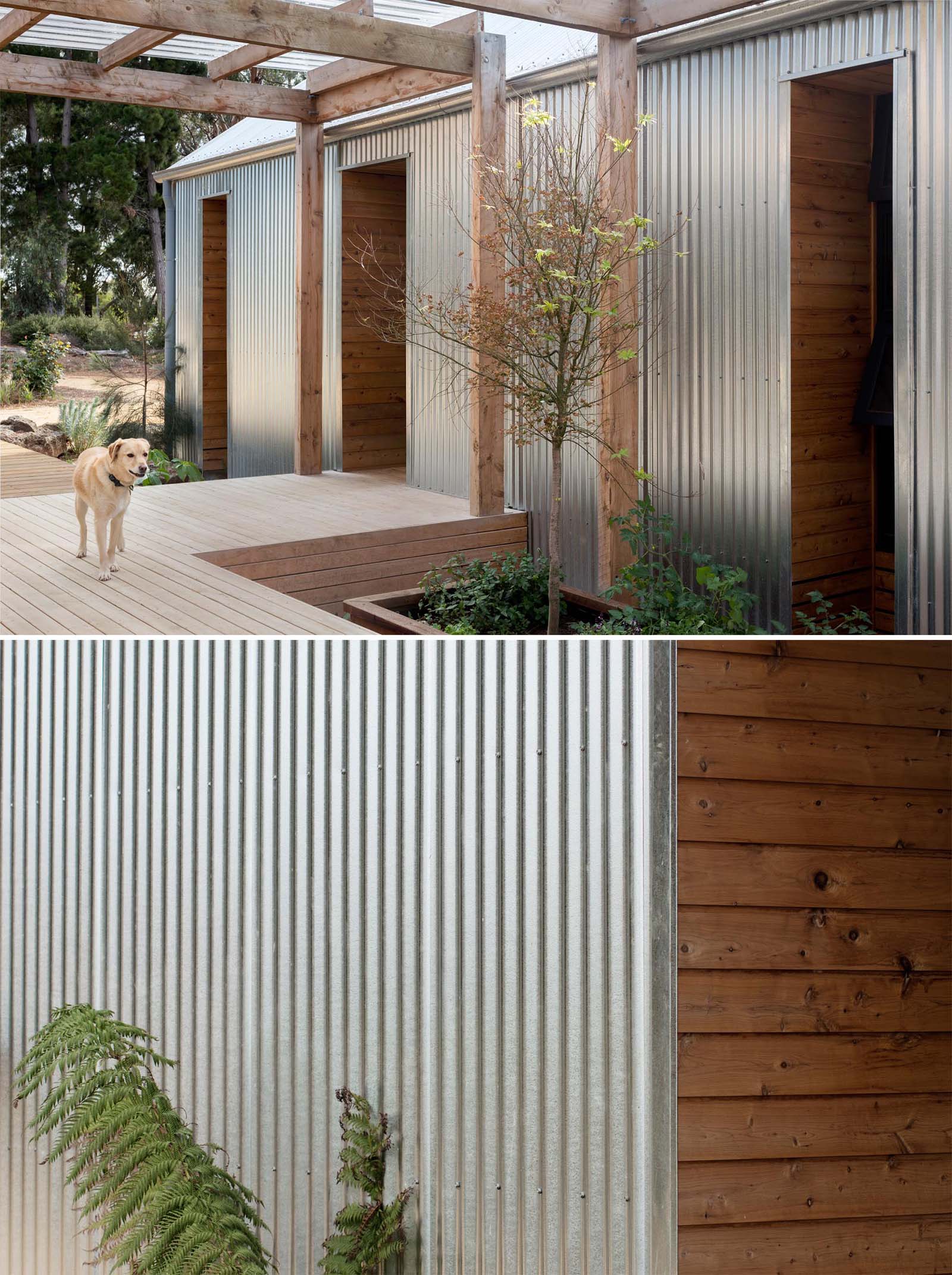 Corrugated metal and wood siding on a modern home.