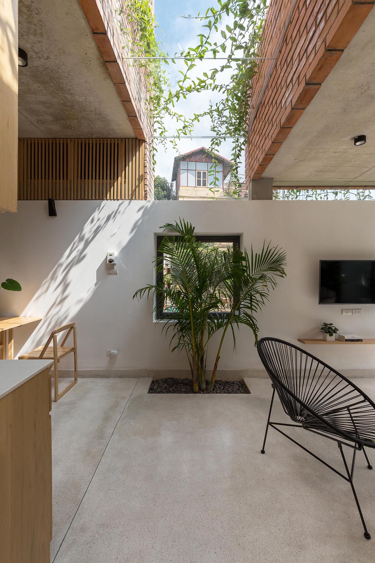 A contemporary home with glass ceiling and built-in planters.