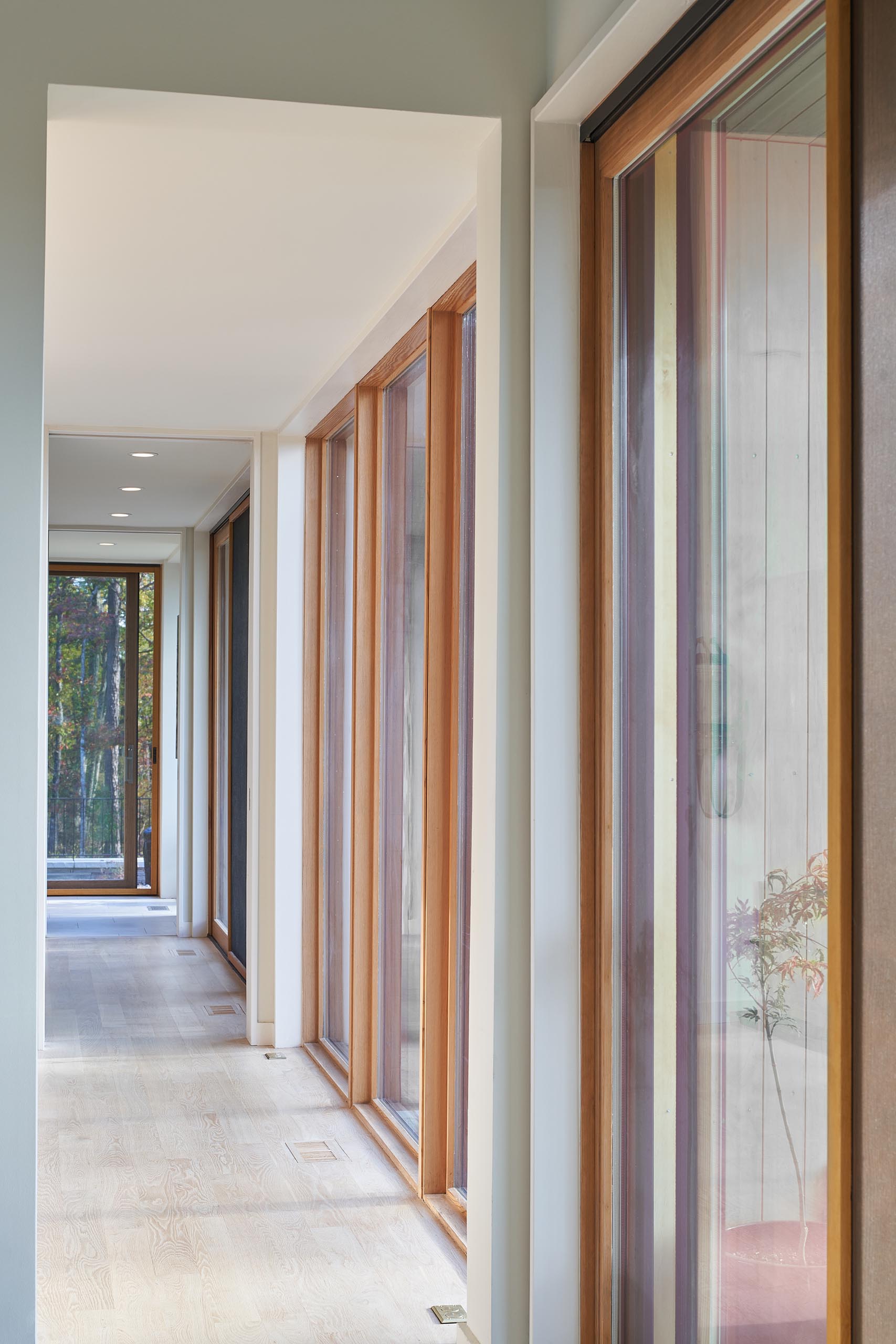 A modern hallway with large floor to ceiling windows that frame views of the trees, and create an abundance of natural light for the hallways.