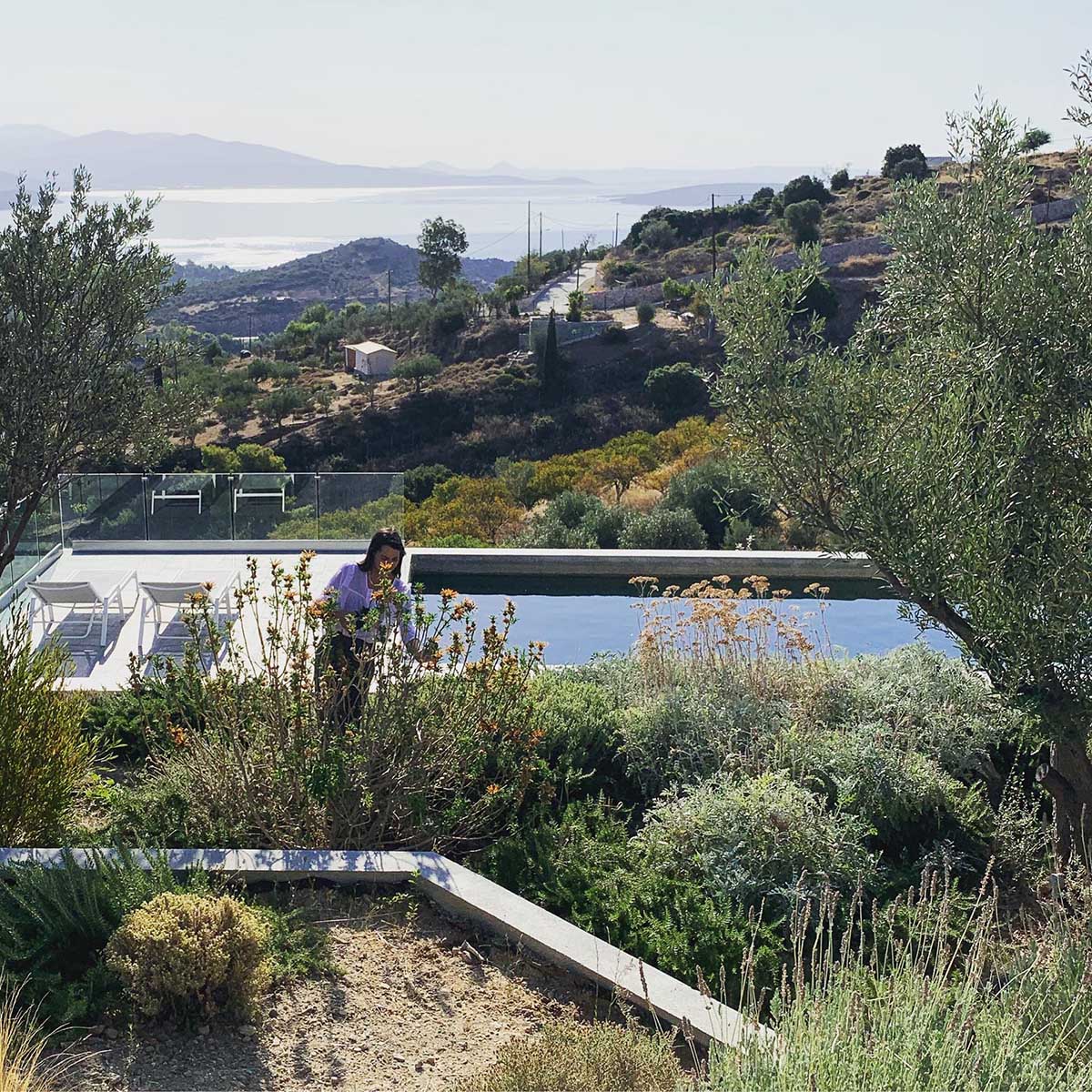 A modern house built into the hillside has a green roof to help it blend in.