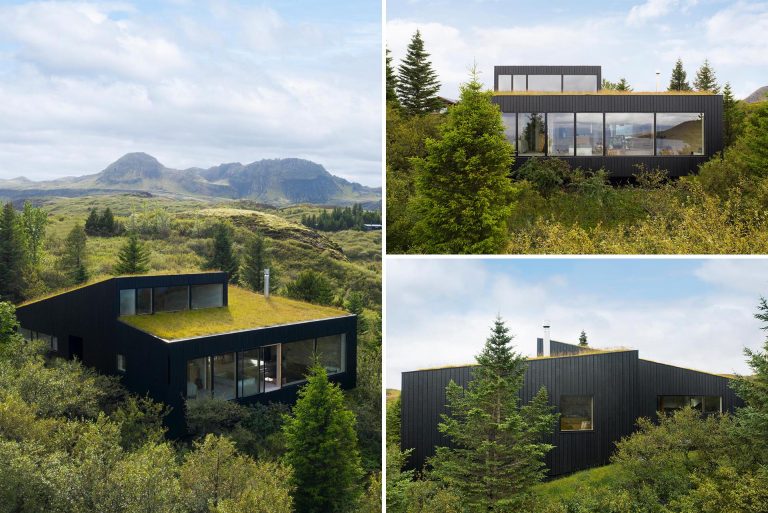 The Green Roof On This Home Helps It Blend Into The Surrounding Landscape