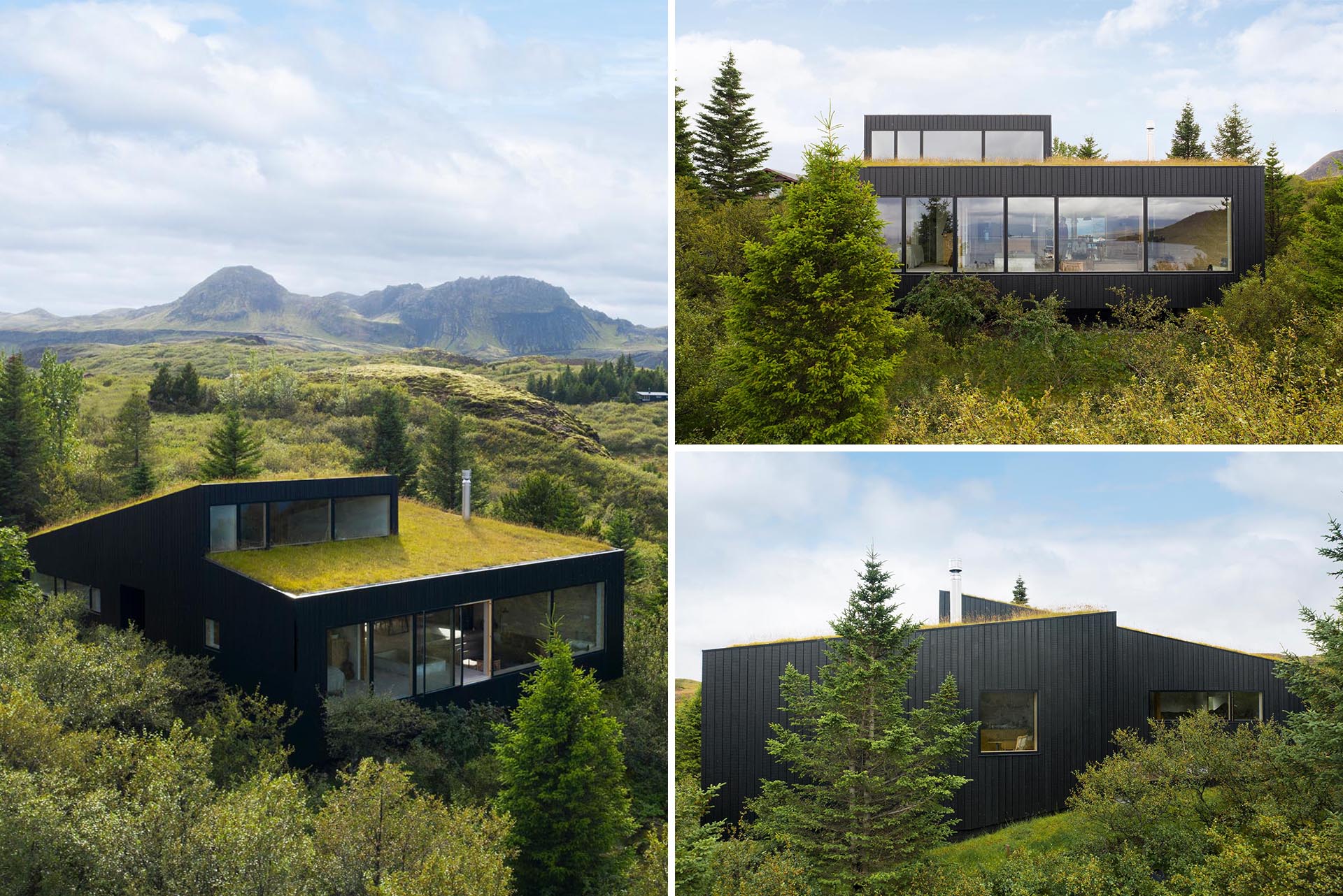 A modern home with blackened wood siding and a green roof.