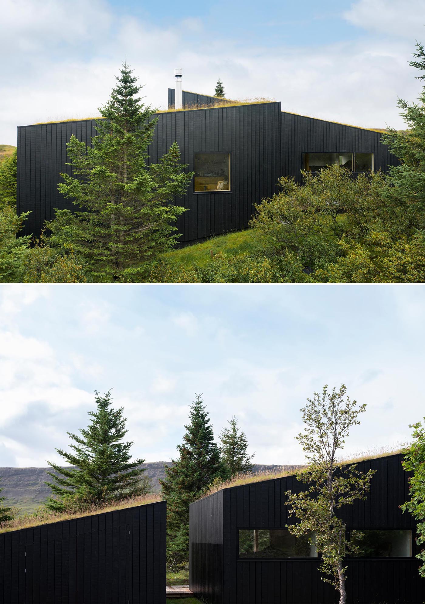 A modern home with blackened wood siding and a green roof.