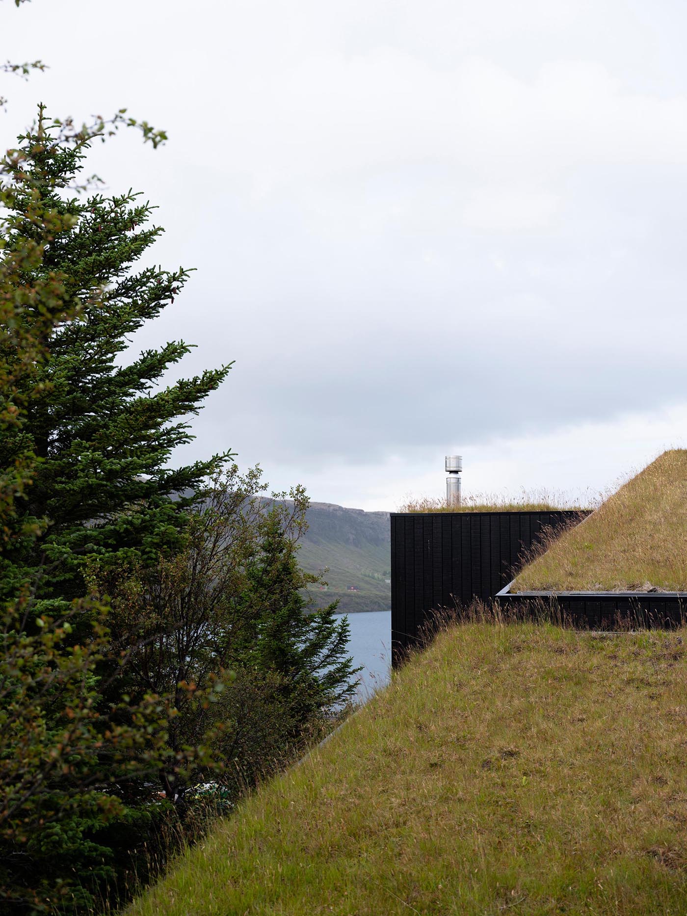 A modern home with blackened wood siding and a green roof.