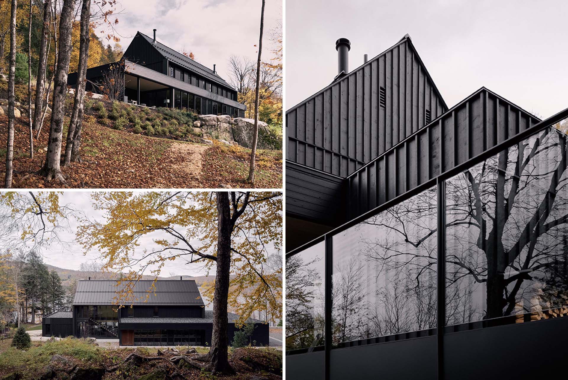 A modern house with a black exterior.