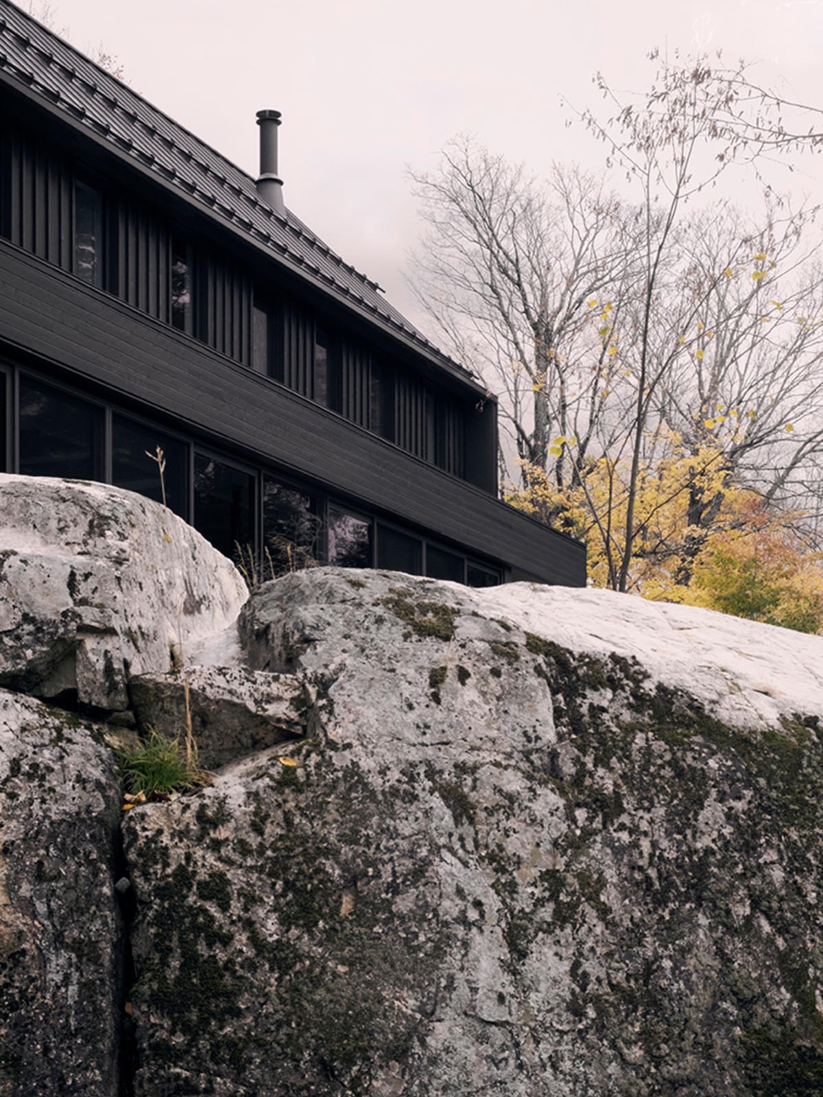 This modern house includes black horizontal and vertical siding, a black roof, as well as black window and door frames.