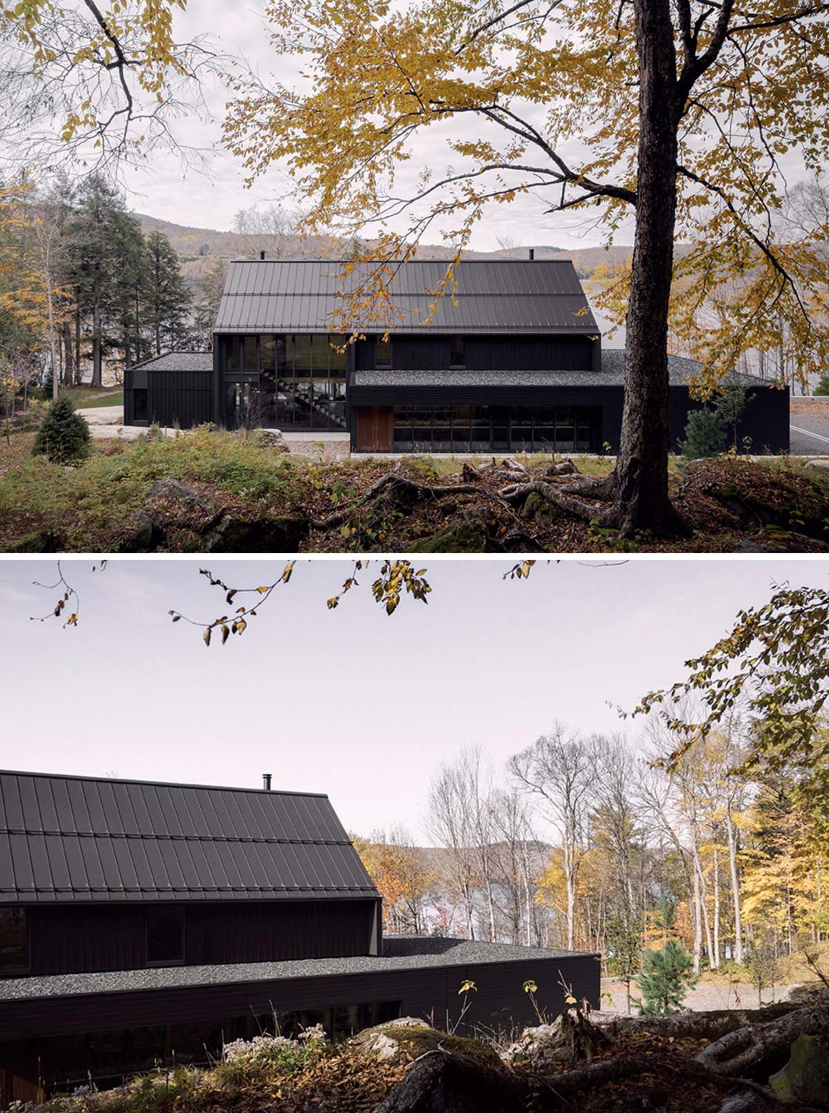 This modern house includes black horizontal and vertical siding, a black roof, as well as black window and door frames.