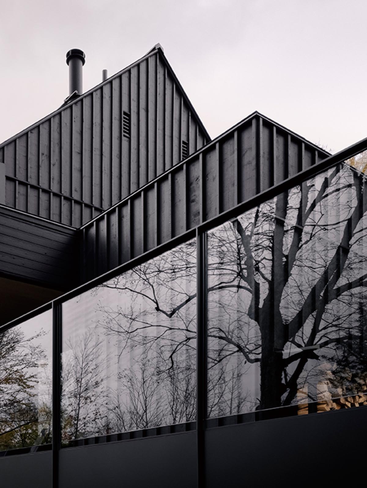 A modern house with black siding and black window frames.