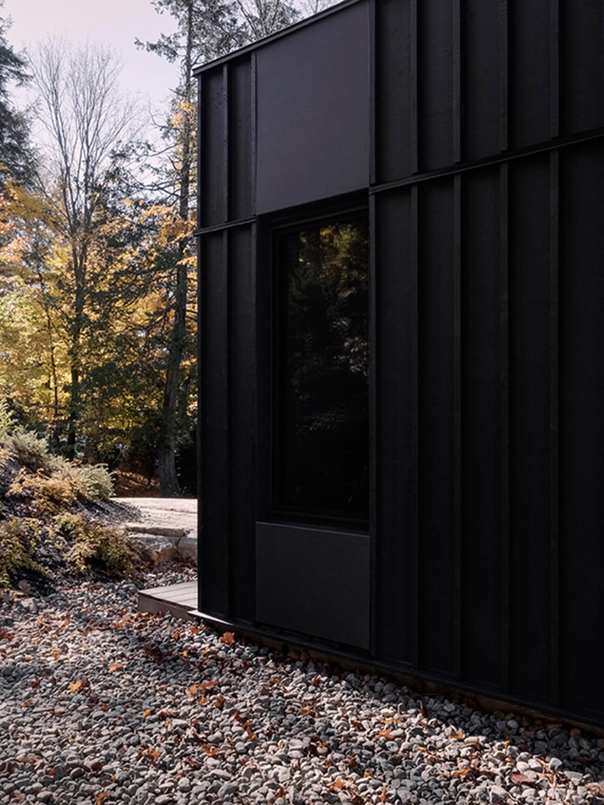 A modern house with black siding and black window frames.