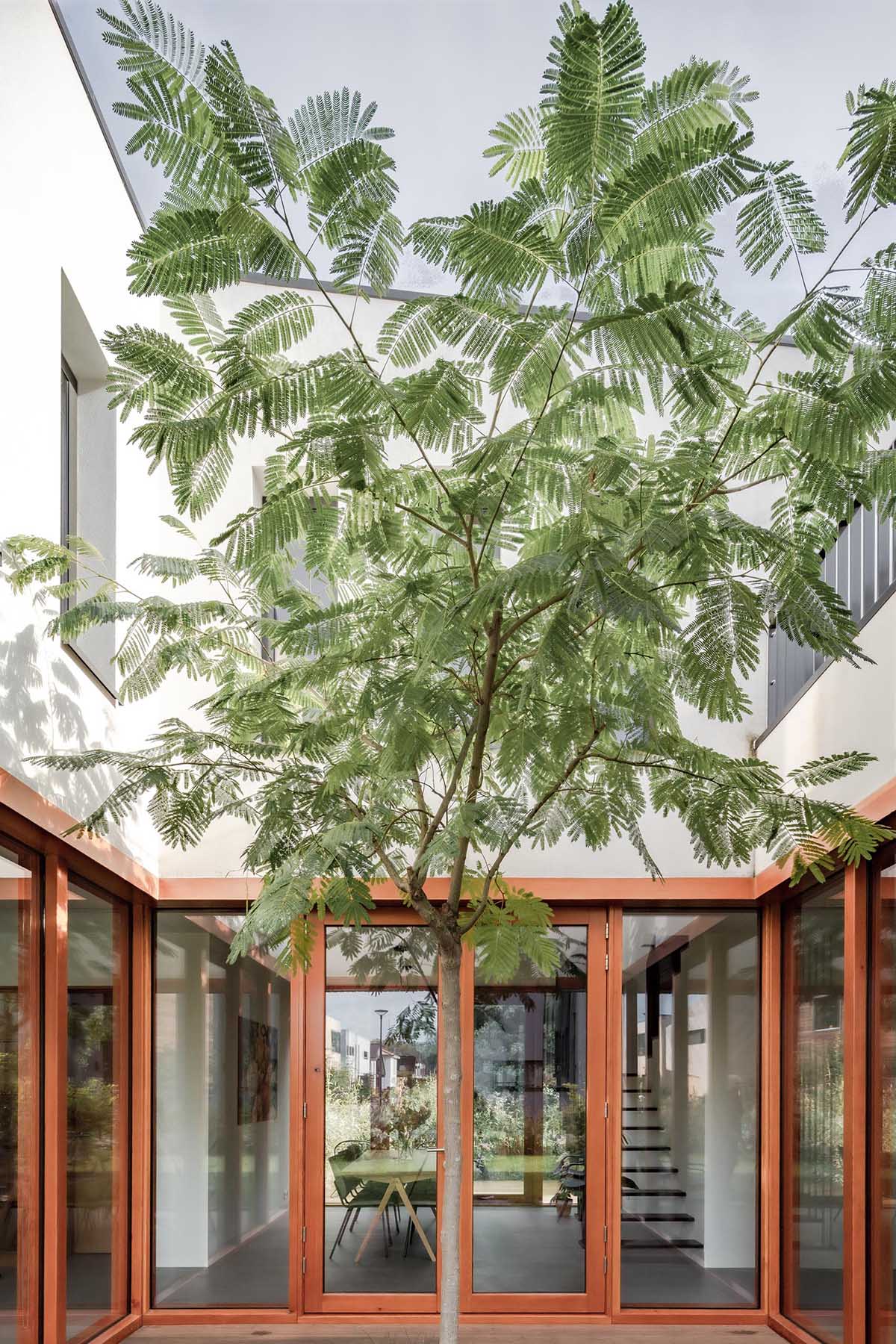 A modern home with windows and glass doors that wrap around a courtyard with a tall tree and wood deck.