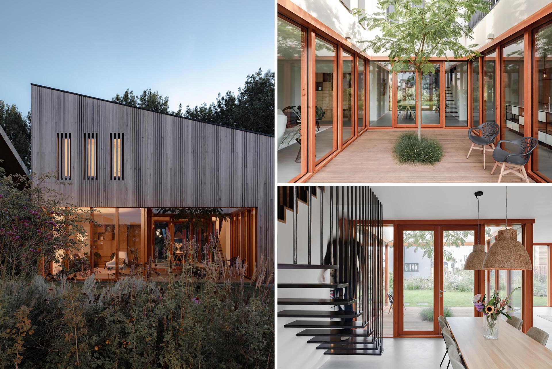 A modern wood clad house with walls of glass.