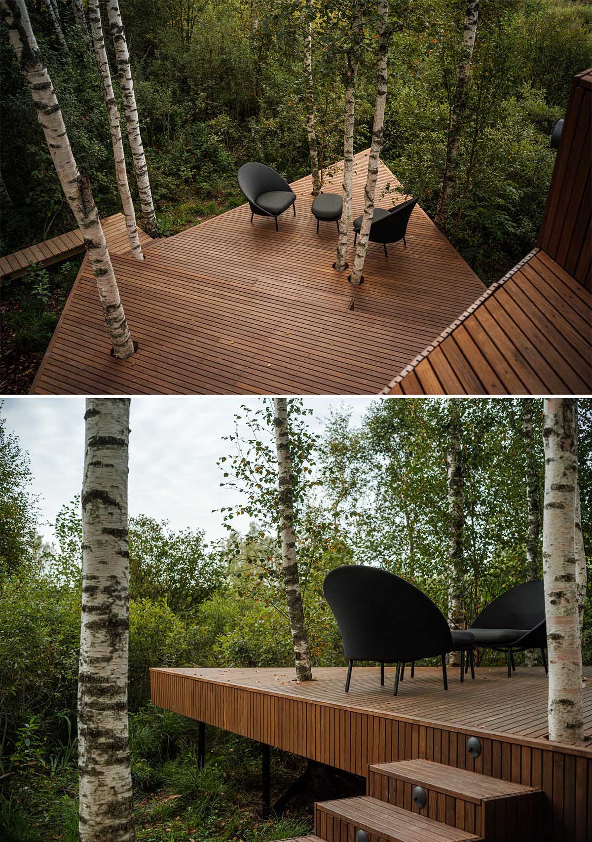 This modern wood deck, which has birch trees growing through it, expands the living space of the cabin.