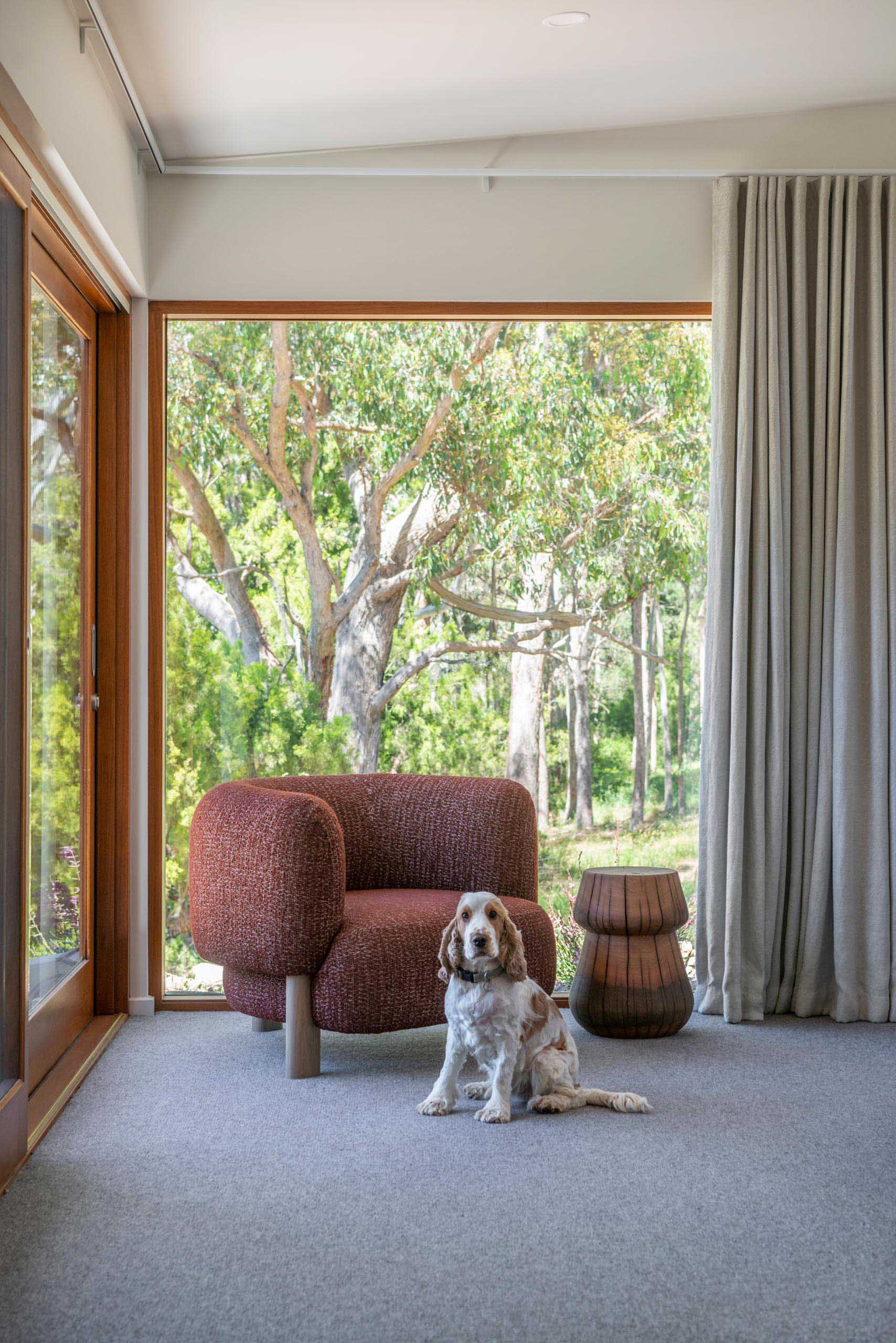 Large windows and a sliding door provide an uninterrupted tree view in a modern bedroom.