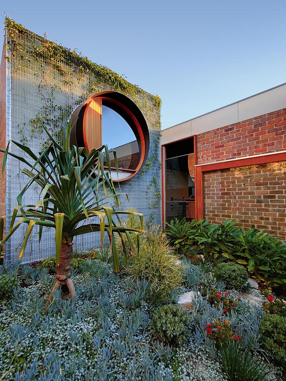 Key to this area of the garden is a wall of vines that will grow over time to surround the window.