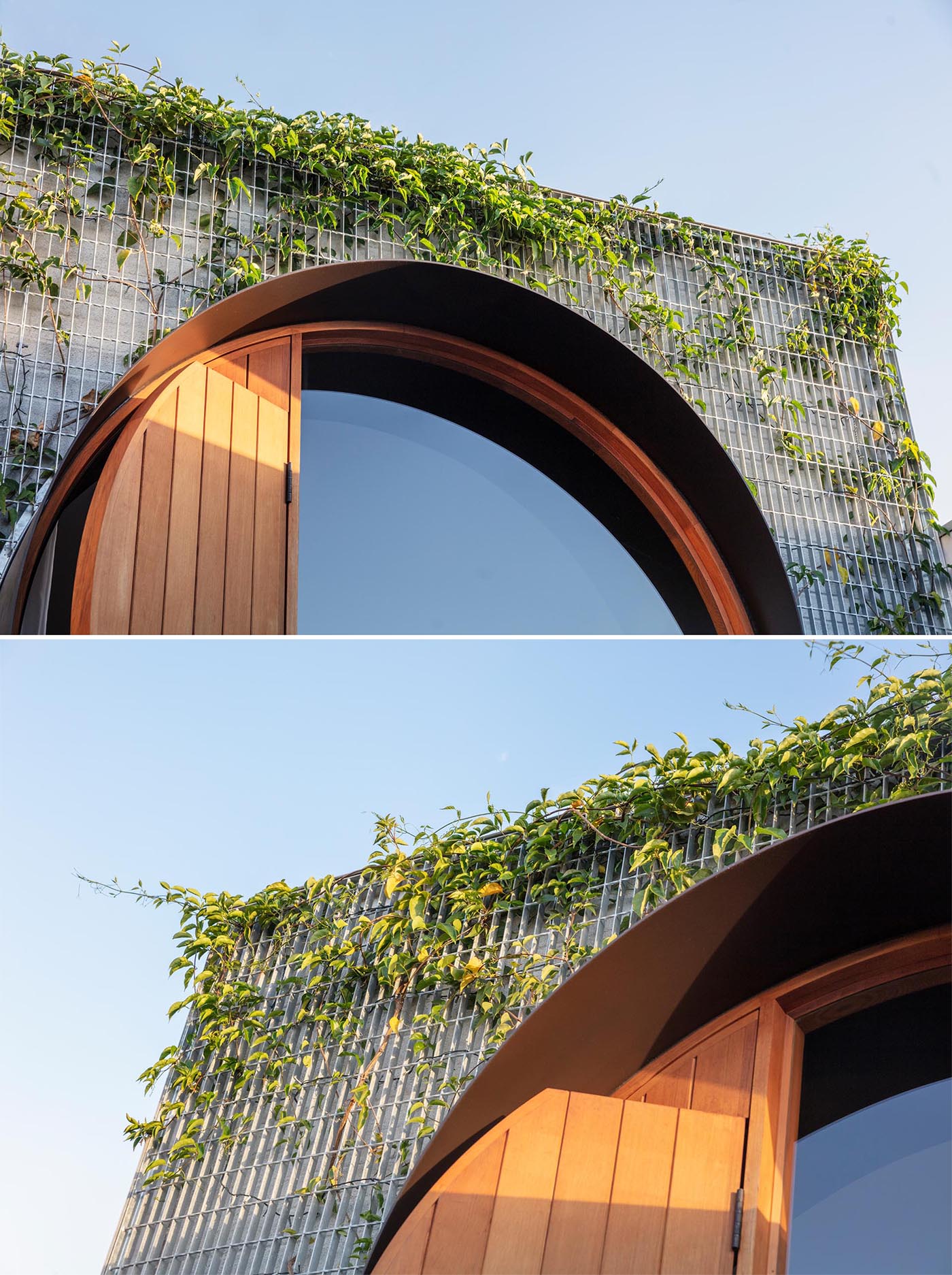A wall of vines will grow to wrap around this round window.