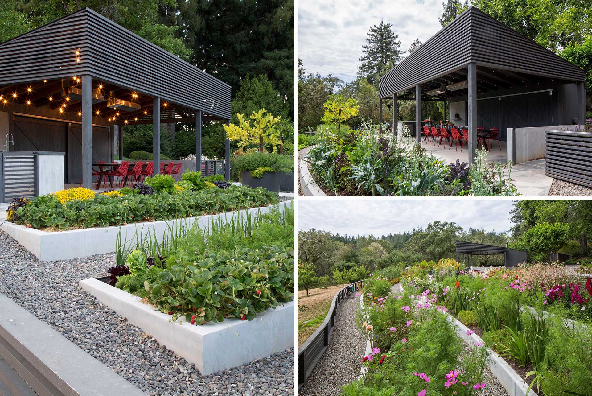 A modern garden with an covered outdoor dining area and terraced built-in planters made from concrete.