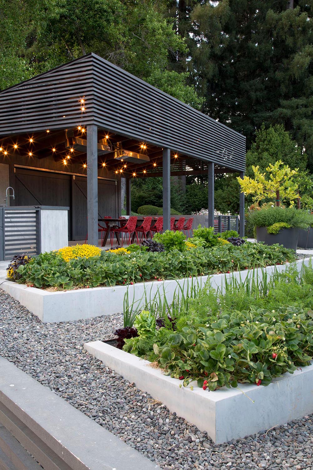 A modern garden with terraced built-in planters made from concrete.