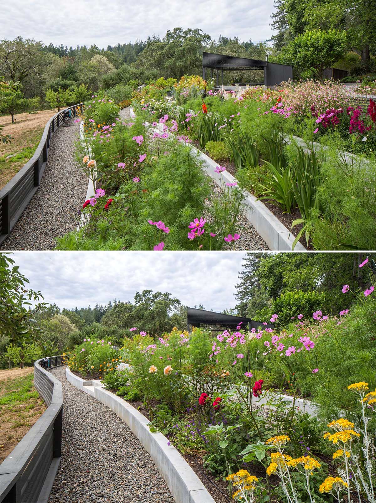 A modern garden with terraced built-in planters.