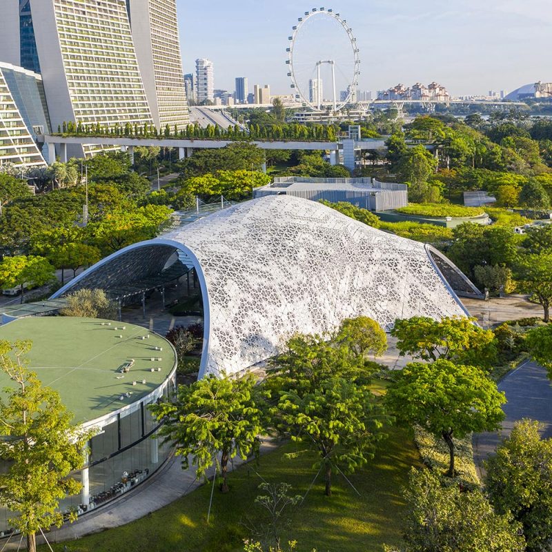 The inspiration for the Pavilion was the environmentally comfortable and visually beautiful experience of walking under the foliage of lush trees in the tropics.