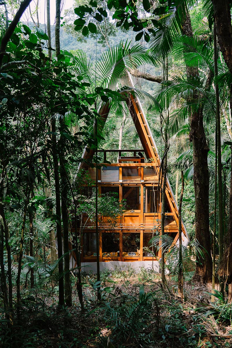 An A-Frame cabin in the forest with a warm wood interior.