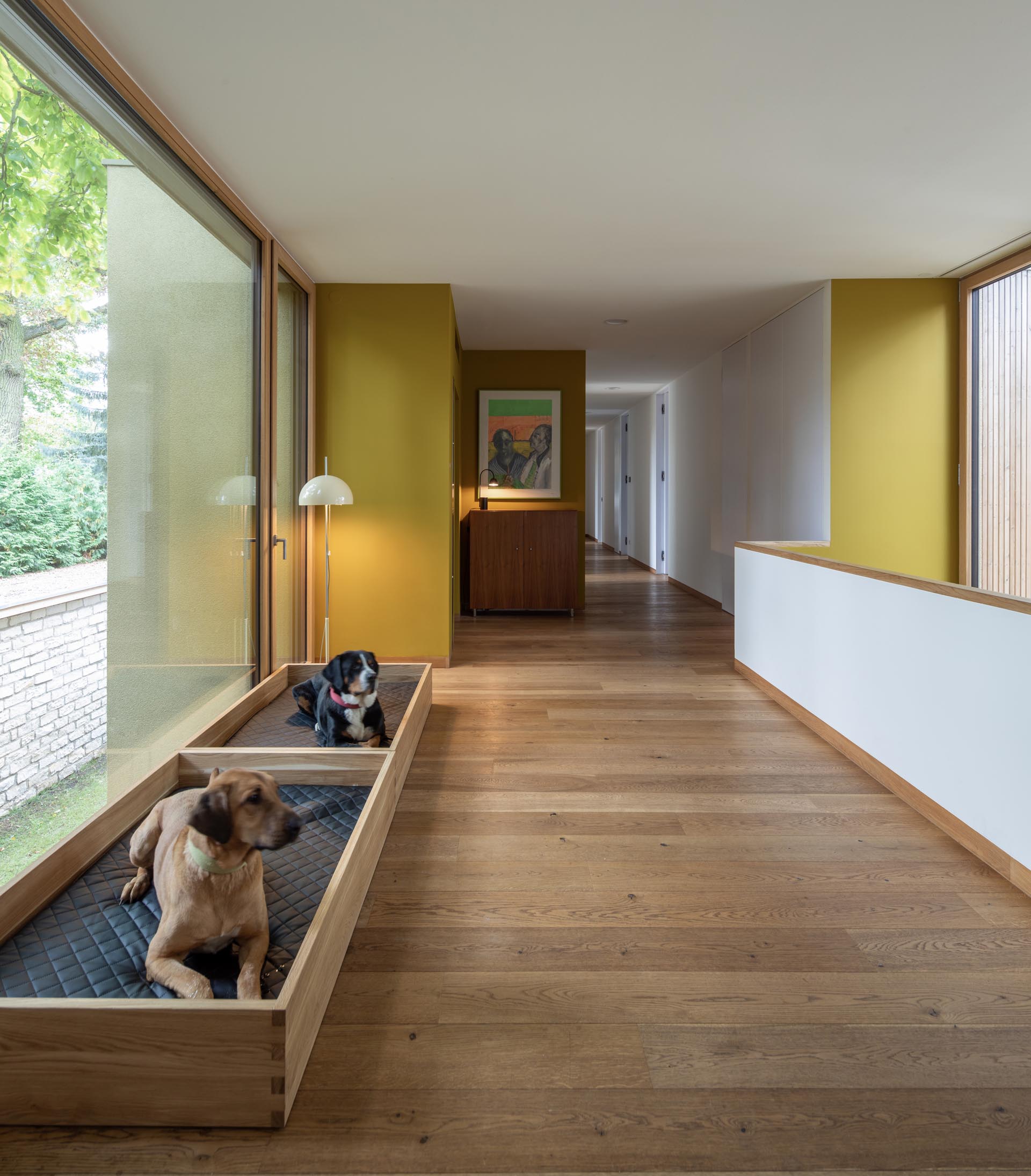 A modern hallway with wood floors and a pair of dog beds.