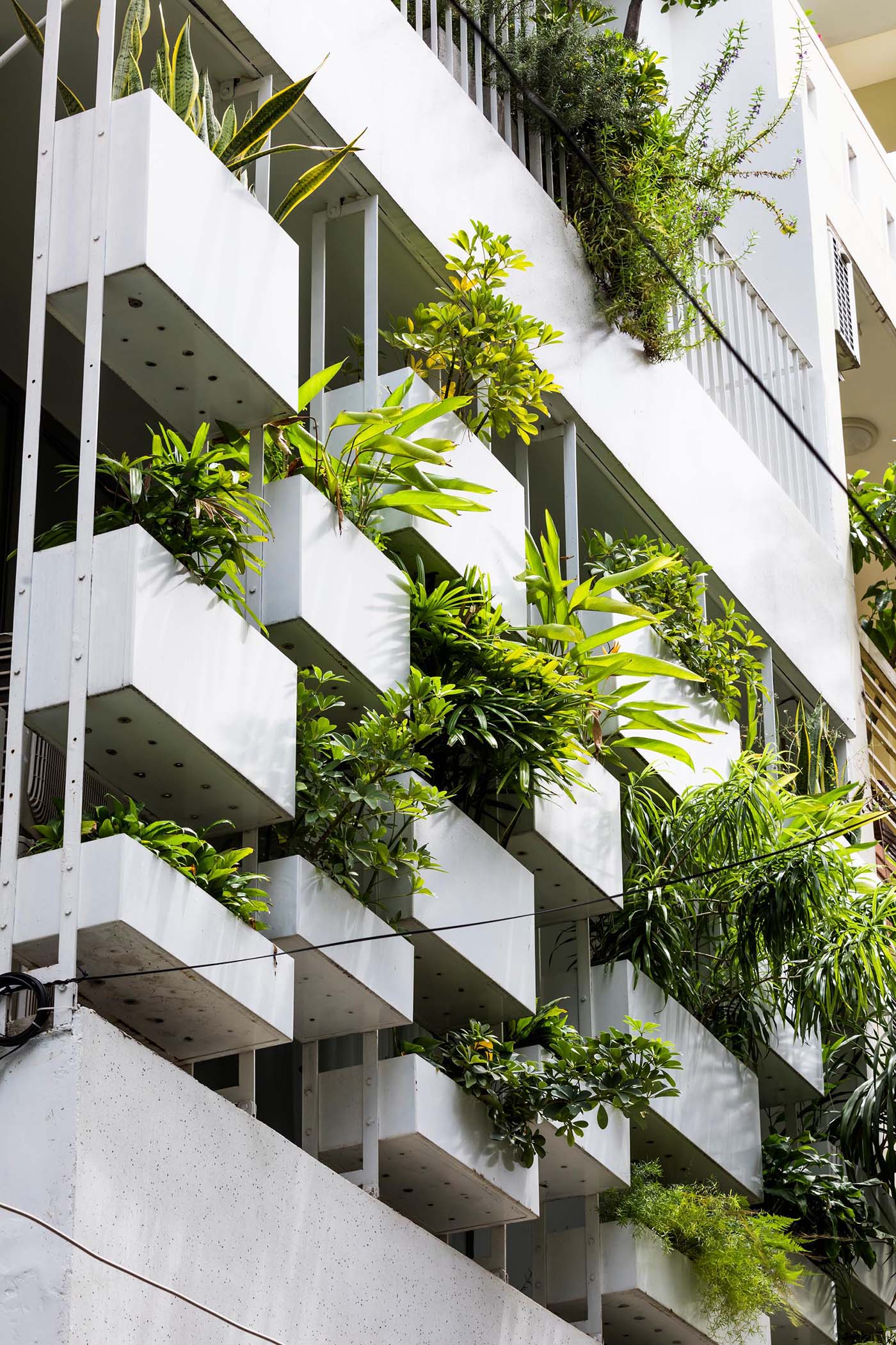 Planters have been added to the facade of this modern house, incorporating a  natural element into the concrete exterior.