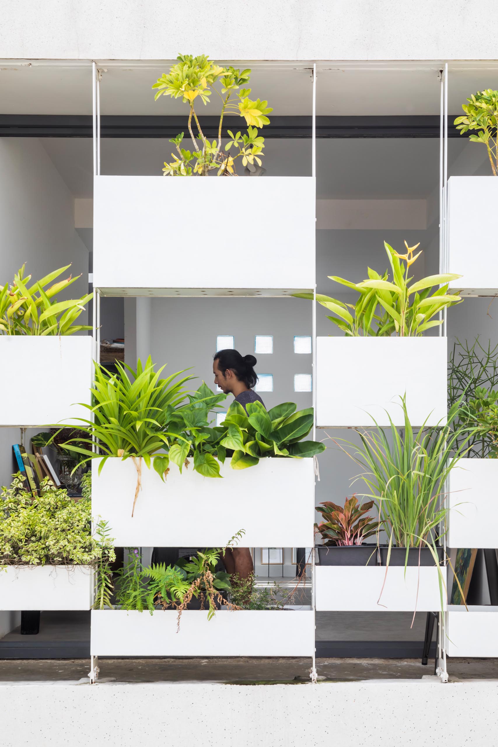 Planters have been added to the facade of this modern house, incorporating a  natural element into the concrete exterior.