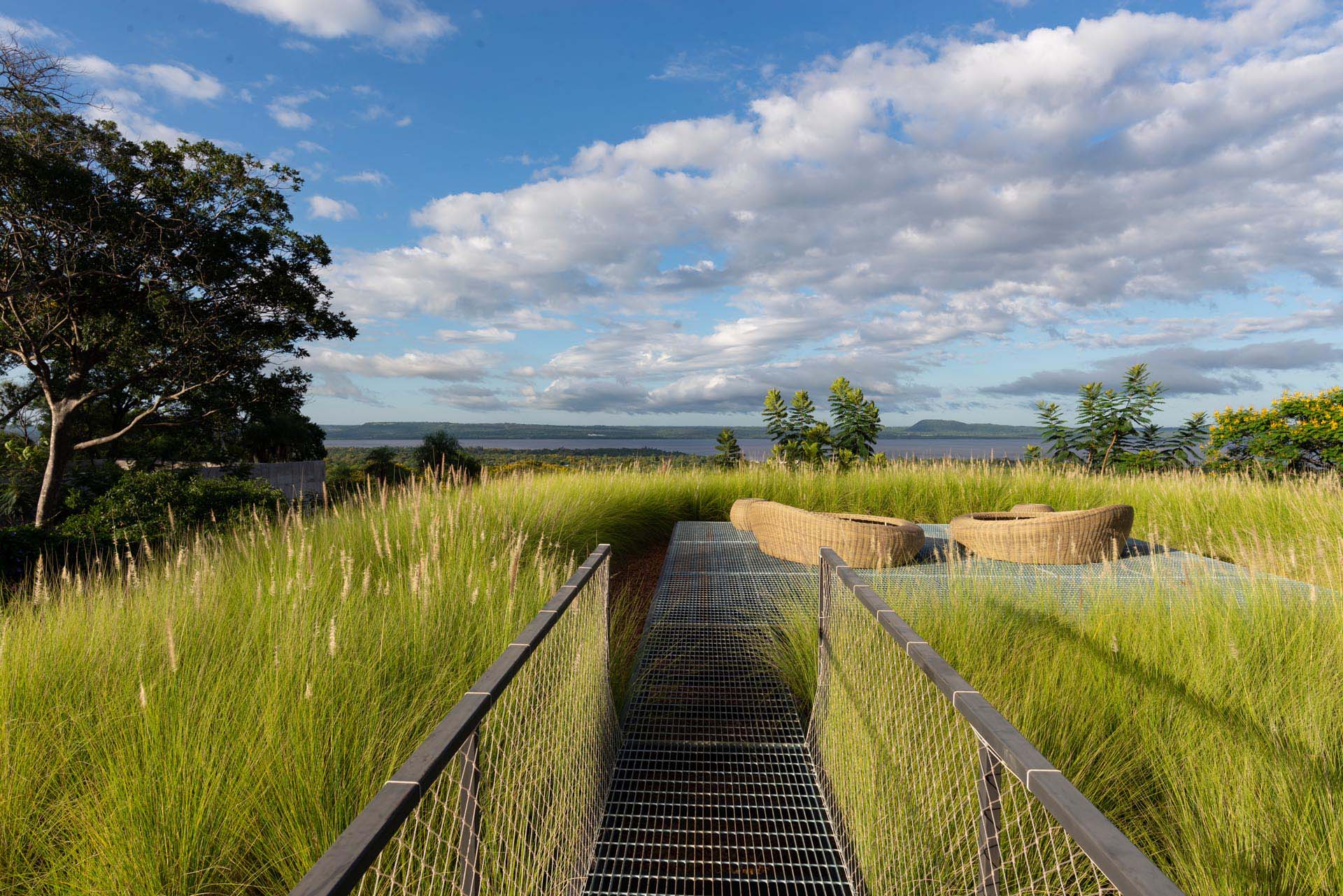 This modern rooftop patio is surrounded by grasses and is furnished with a pair of low day beds. From the rooftop, you can see the surrounding landscape and views of the water.