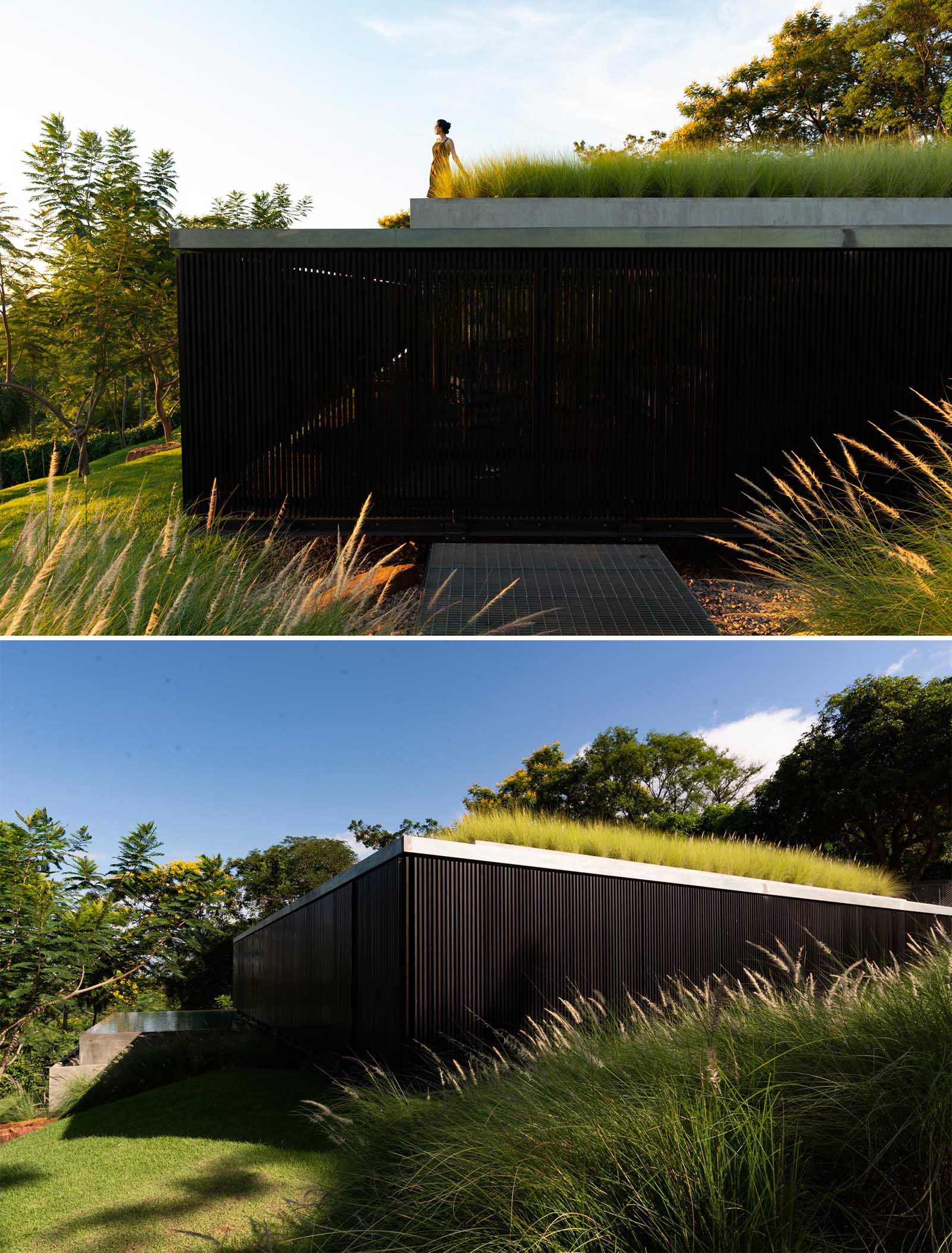 A modern house with a green roof and black screens that wrap around the exterior.