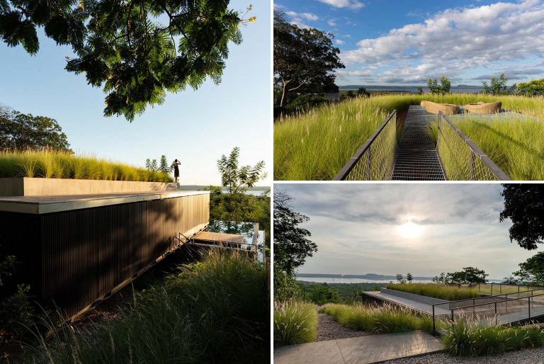 The Green Roof On This Home Has Tall Grasses Surrounding A Seating Area